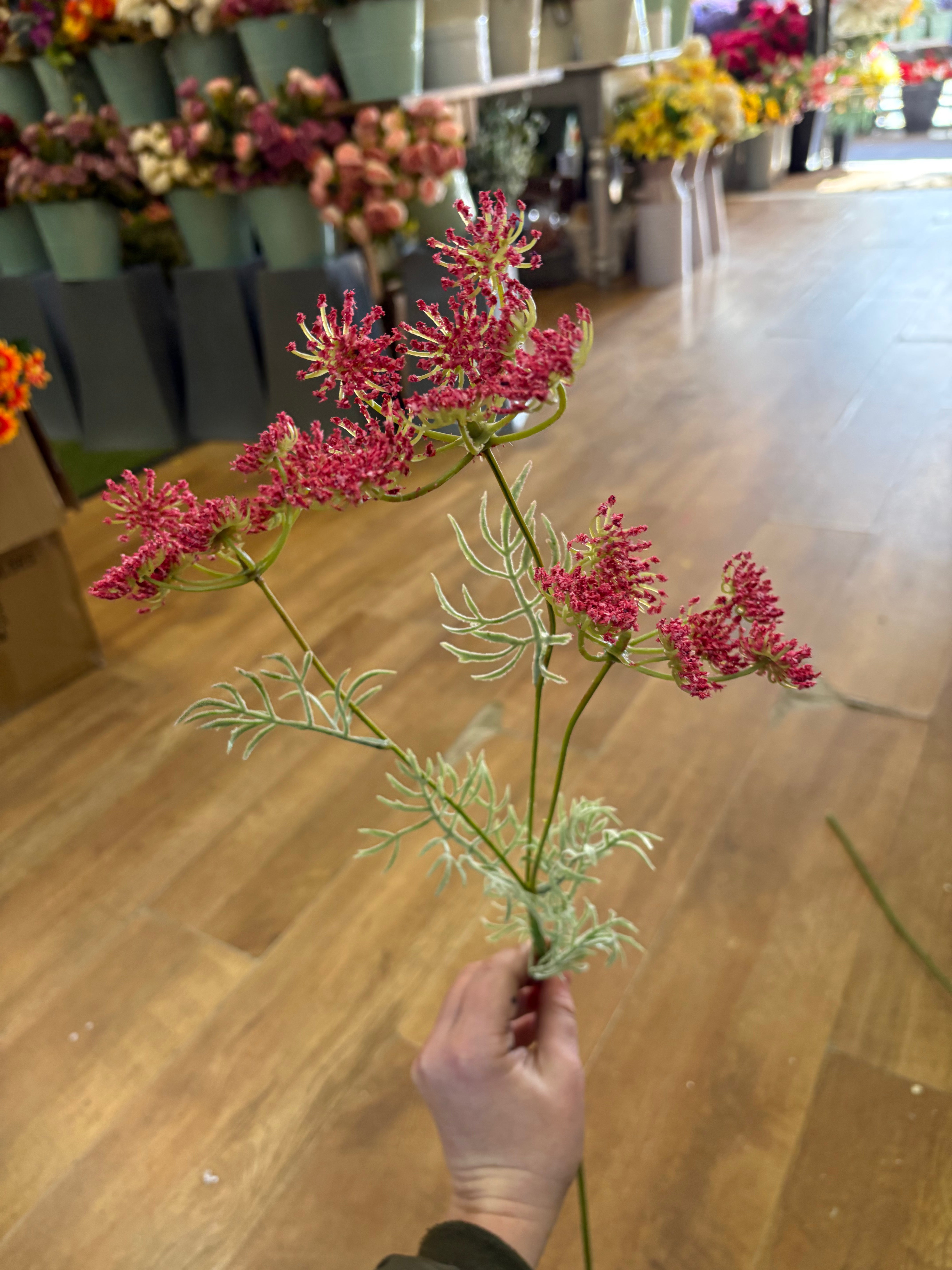 Hot pink queen Anne’s lace spray