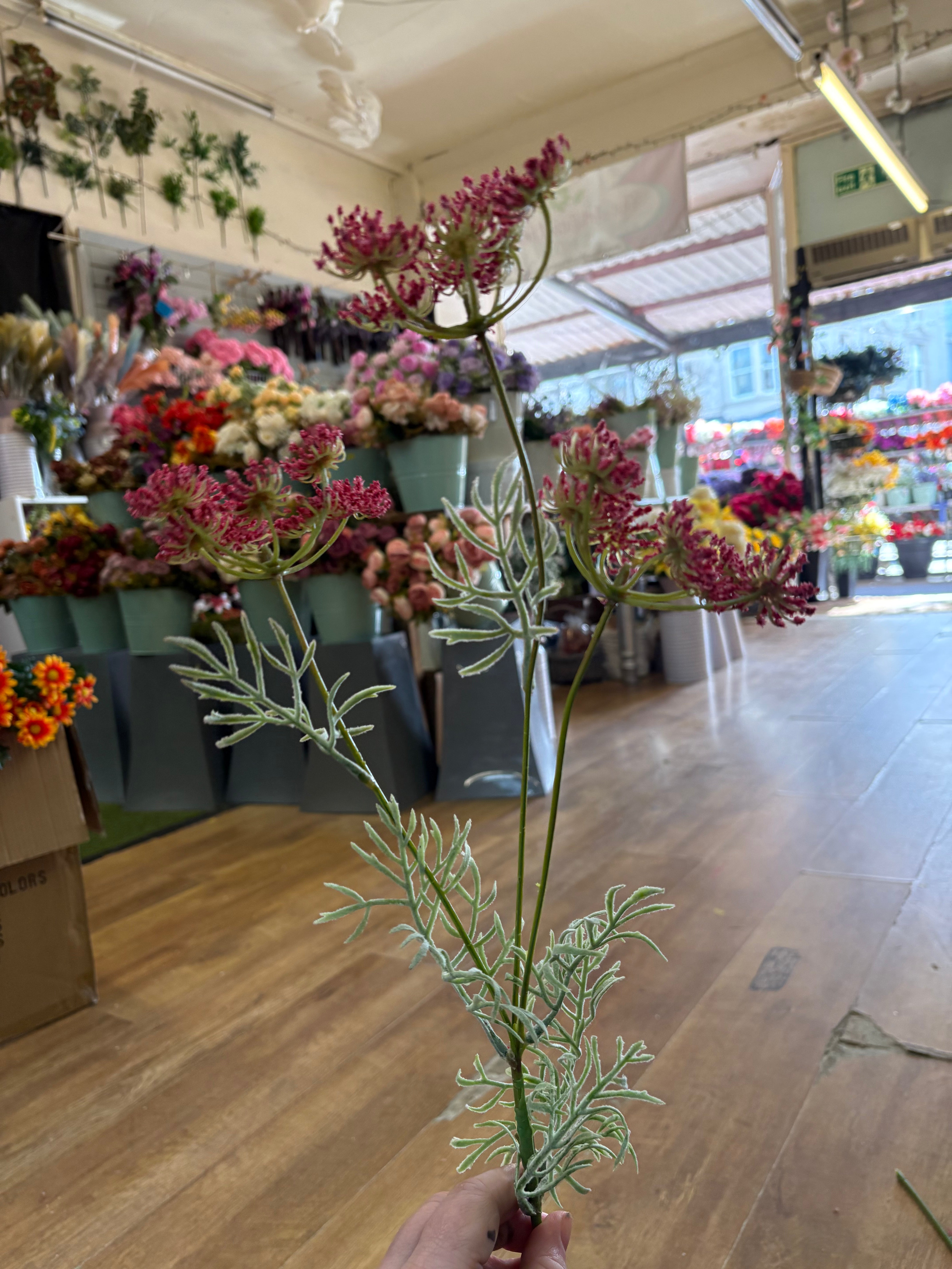 Hot pink queen Anne’s lace spray