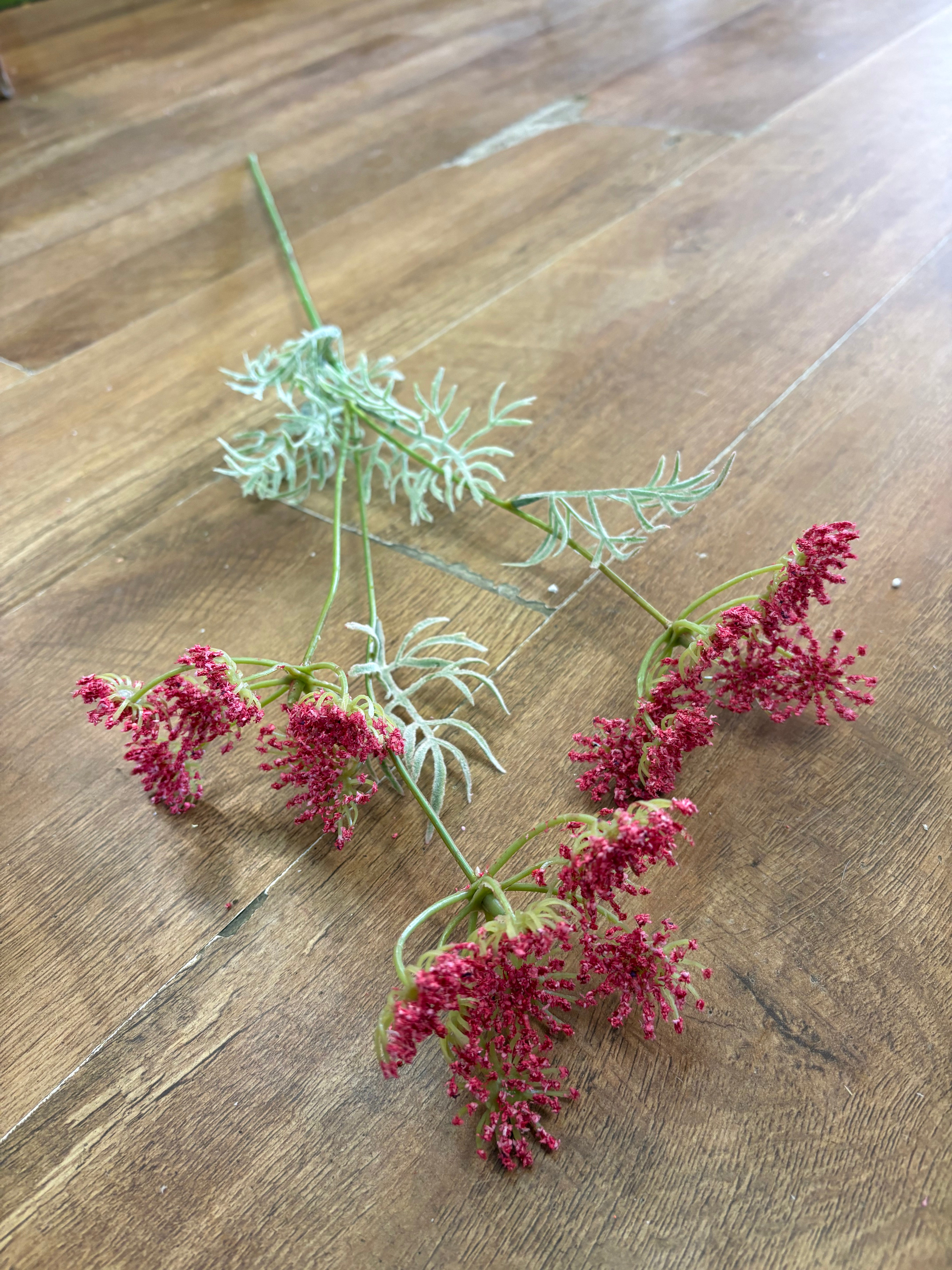 Hot pink queen Anne’s lace spray