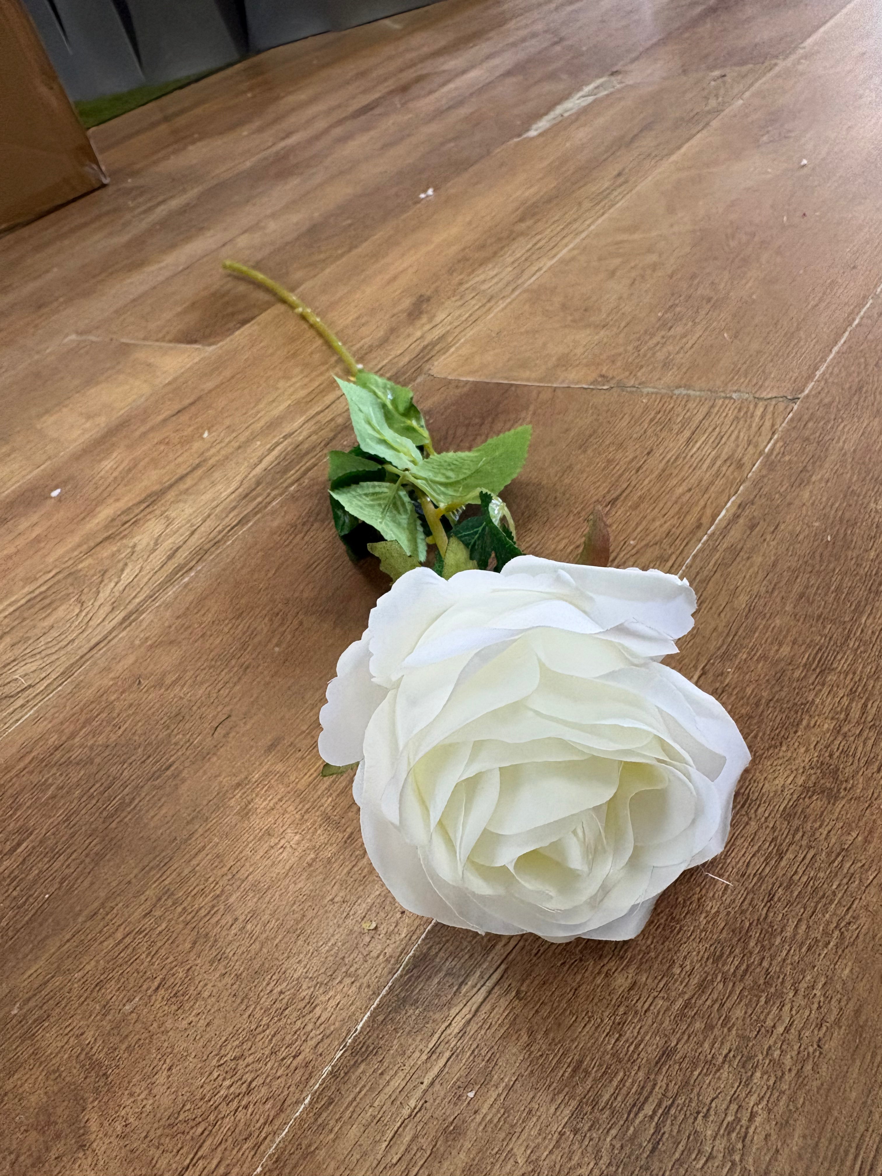 Long stem Ivory harper rose