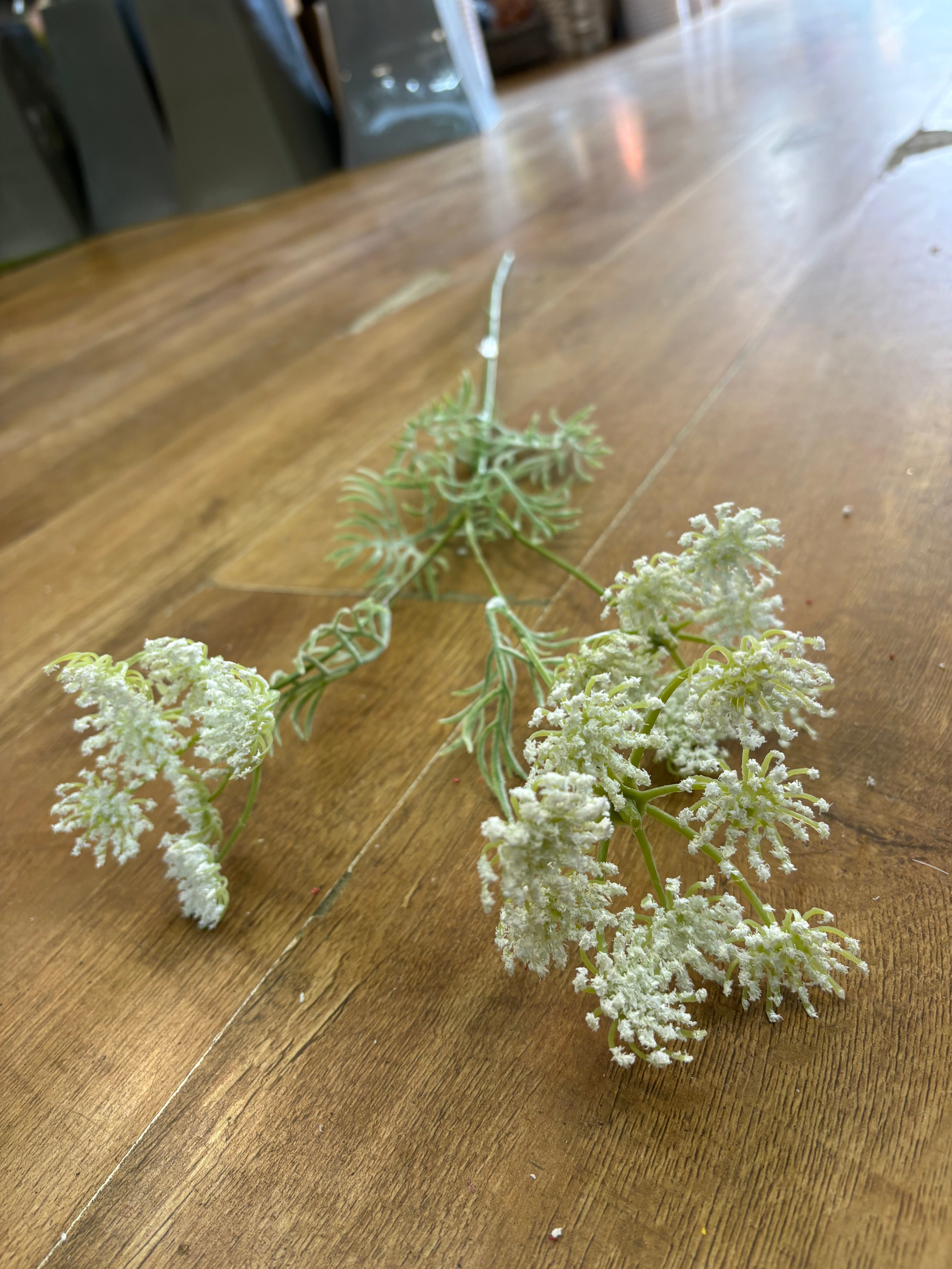 White queen Anne’s lace spray
