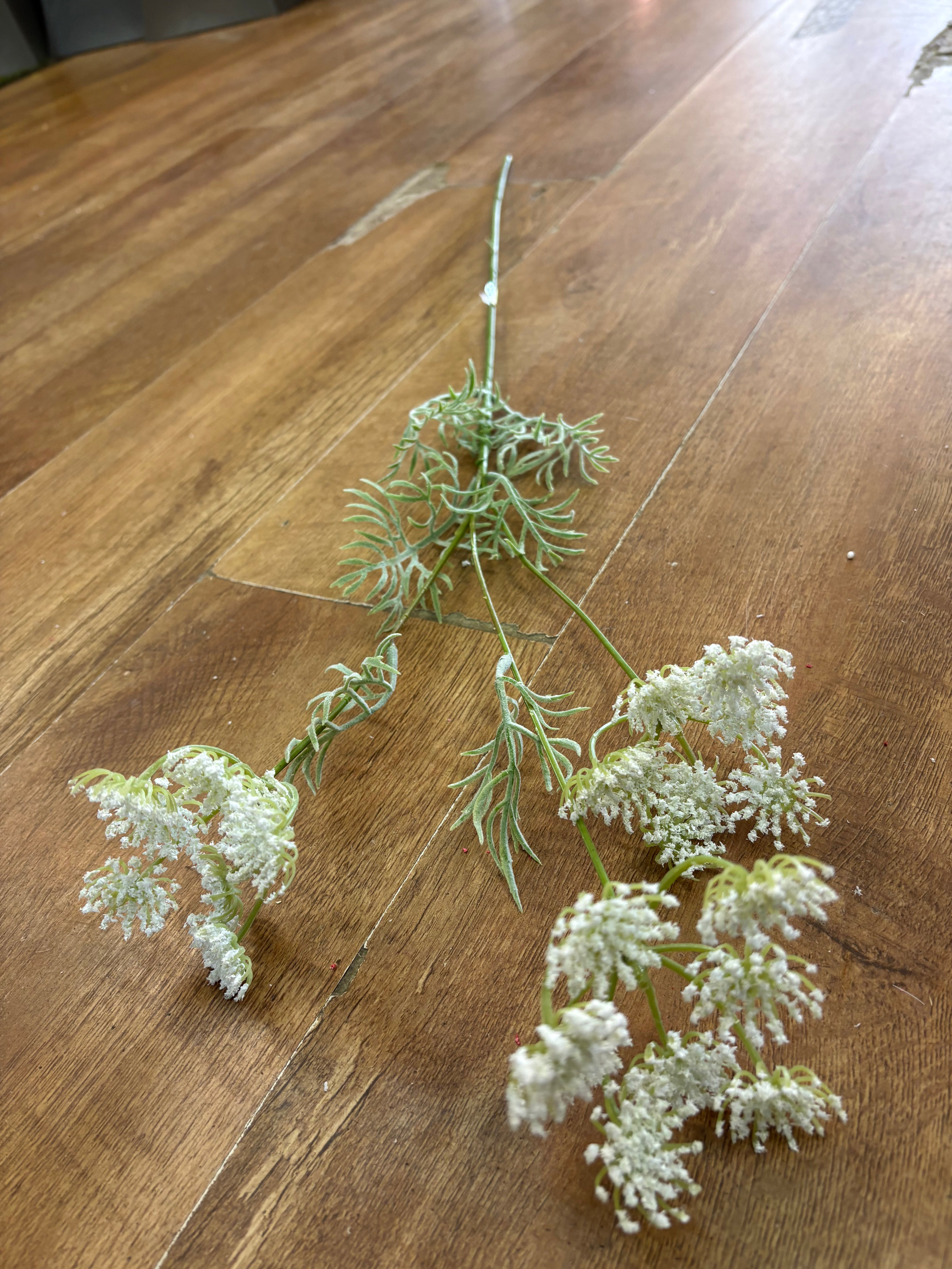 White queen Anne’s lace spray
