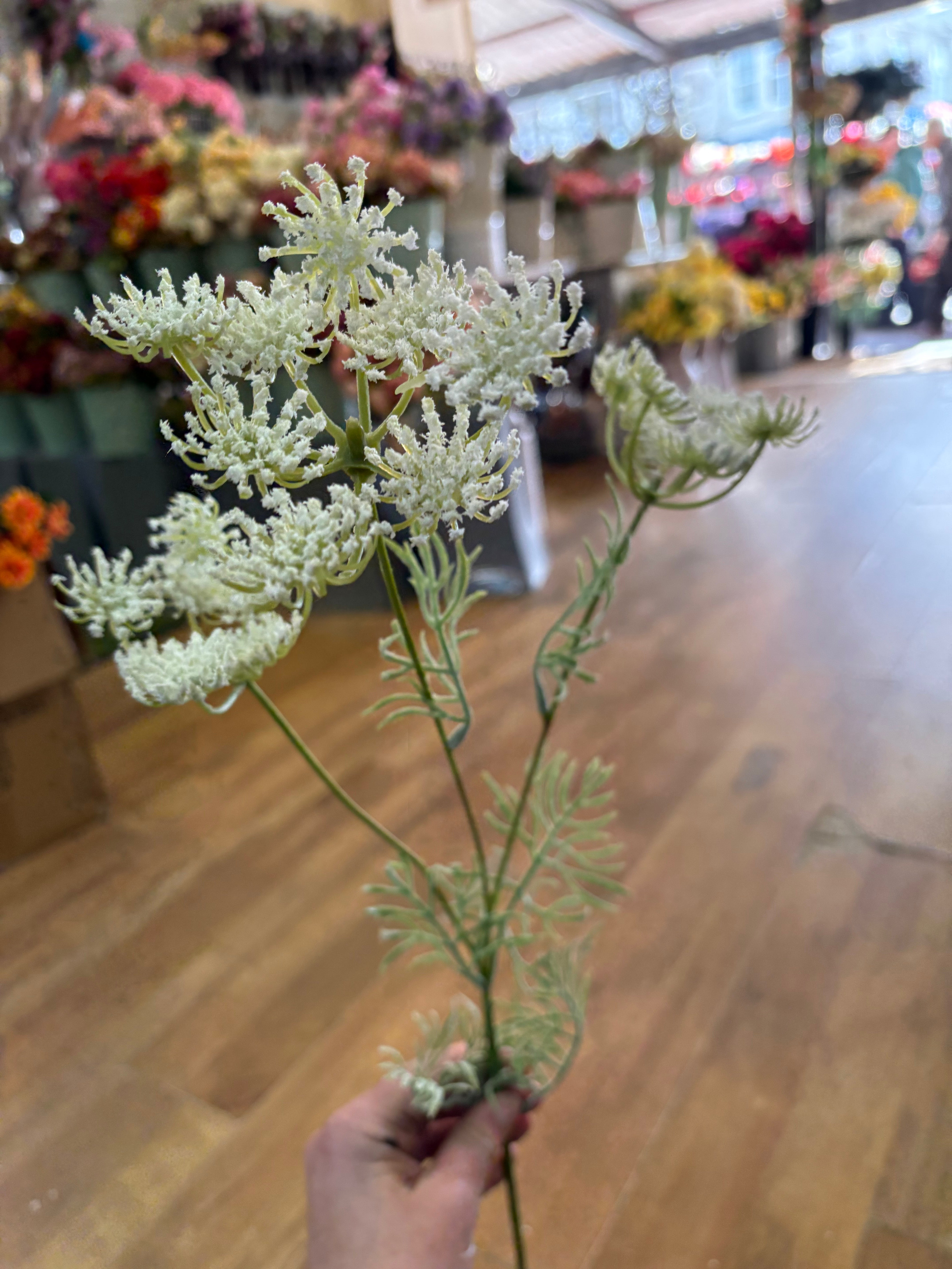 White queen Anne’s lace spray