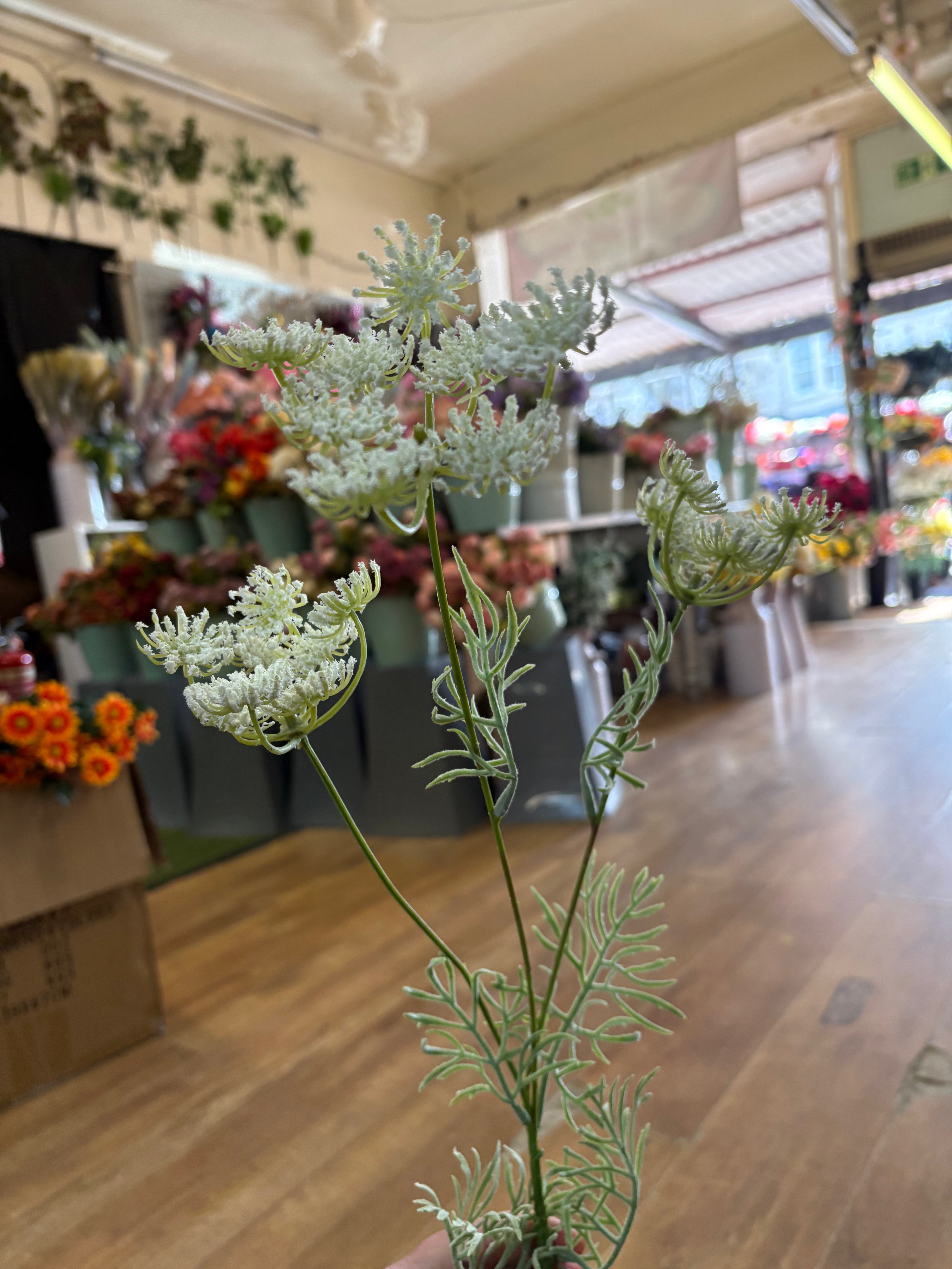 White queen Anne’s lace spray