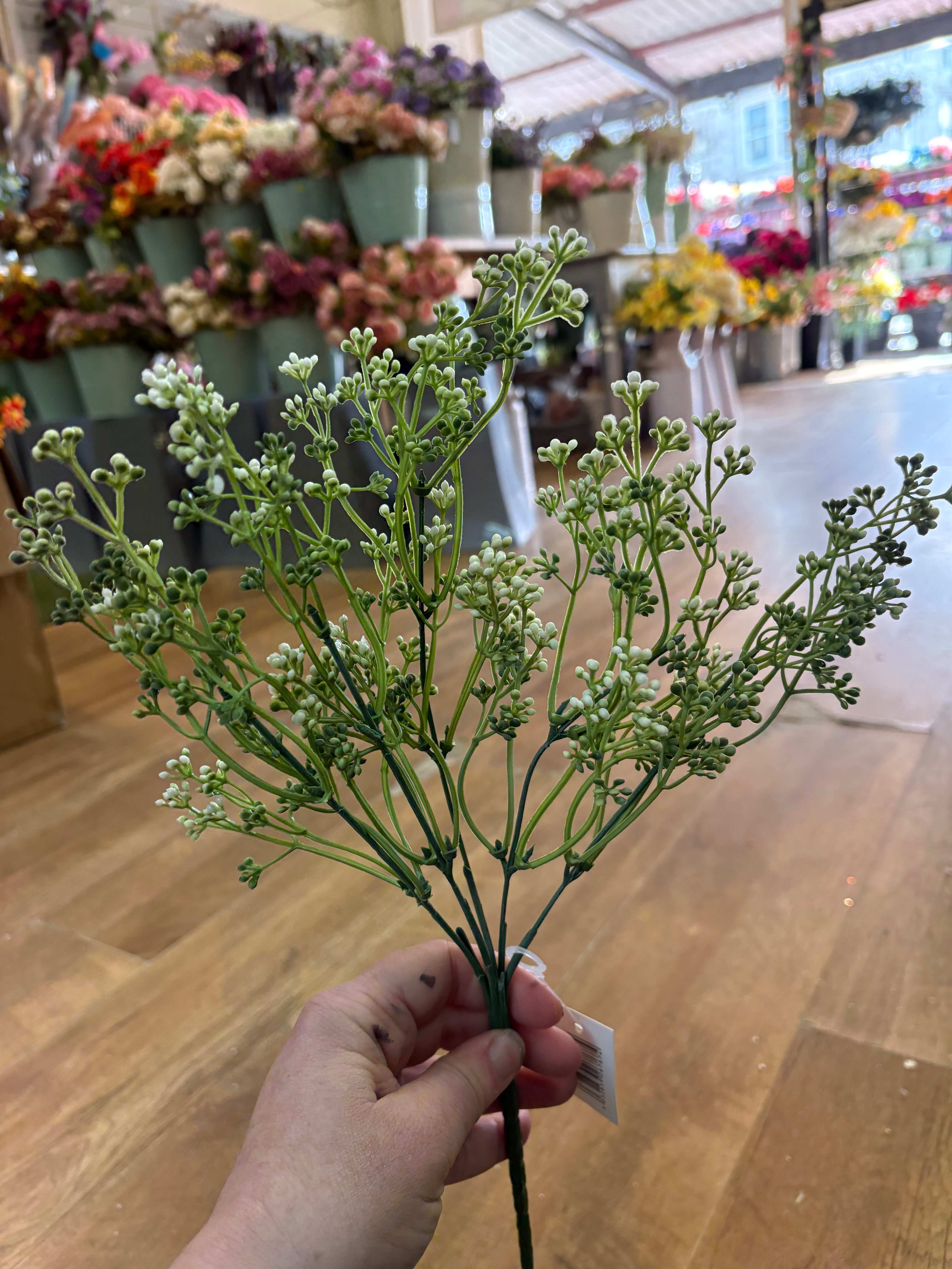 Long stem white felicity bud spray
