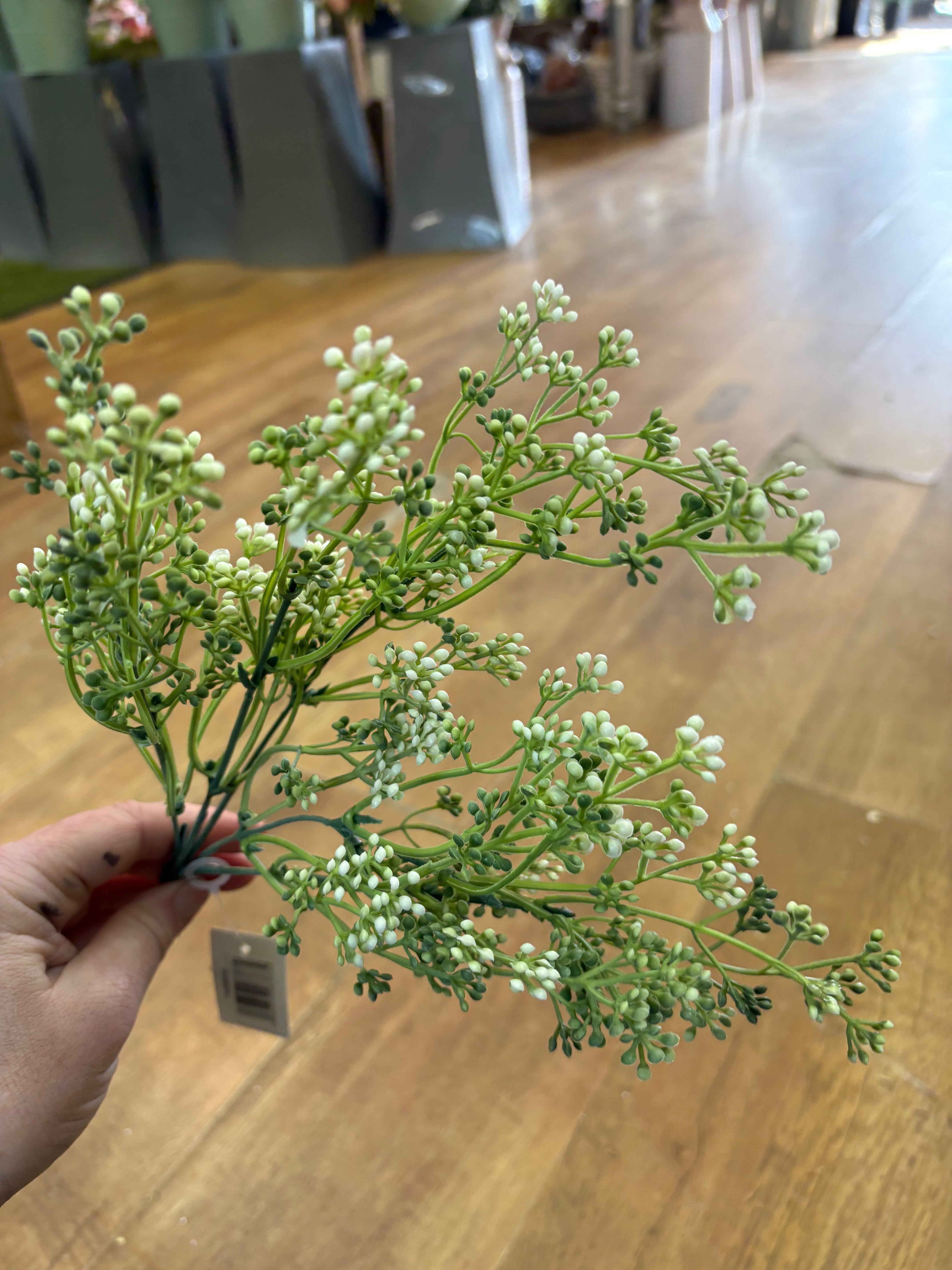 Long stem white felicity bud spray