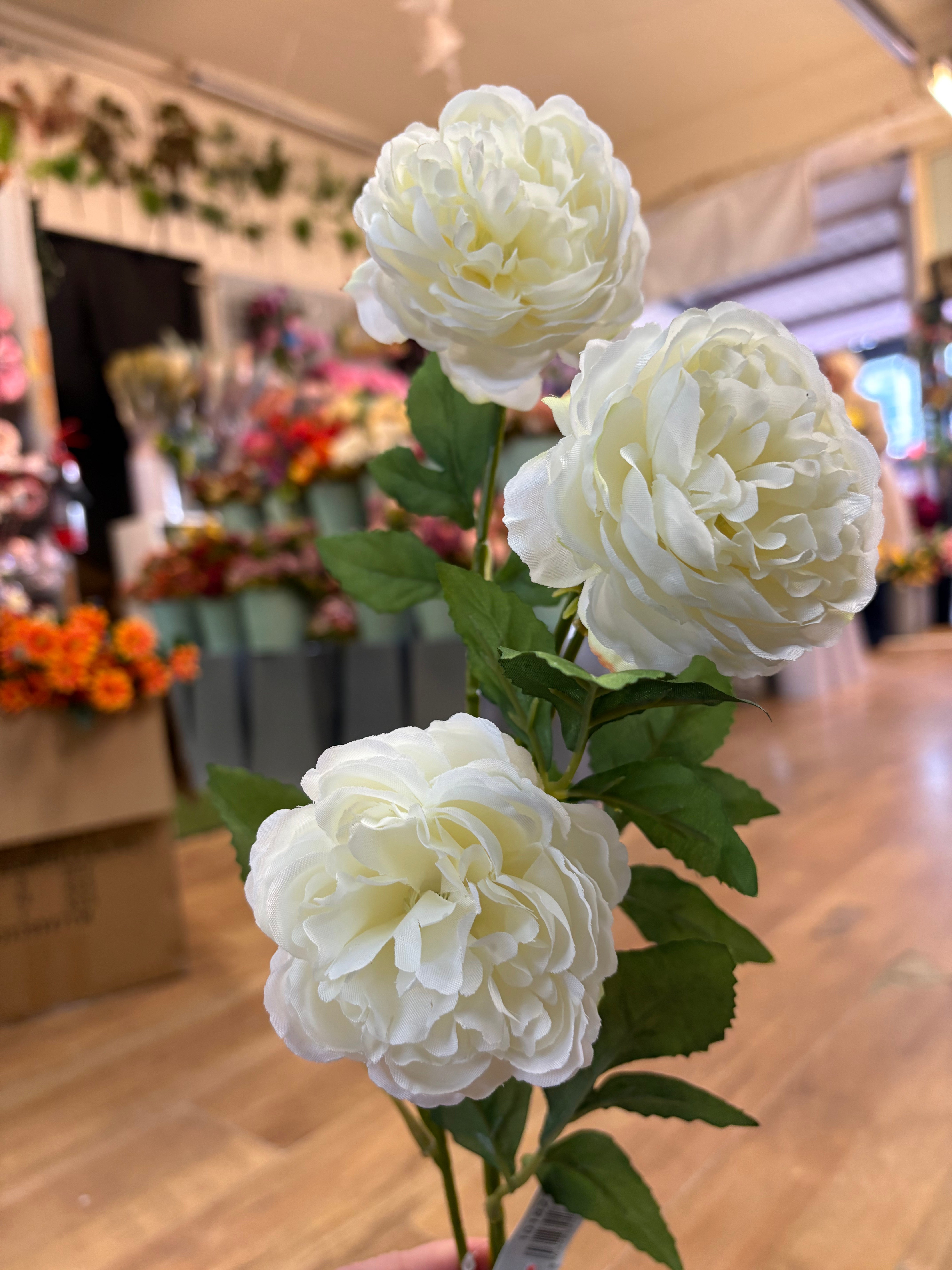 Long stem cream ruffled begonia spray