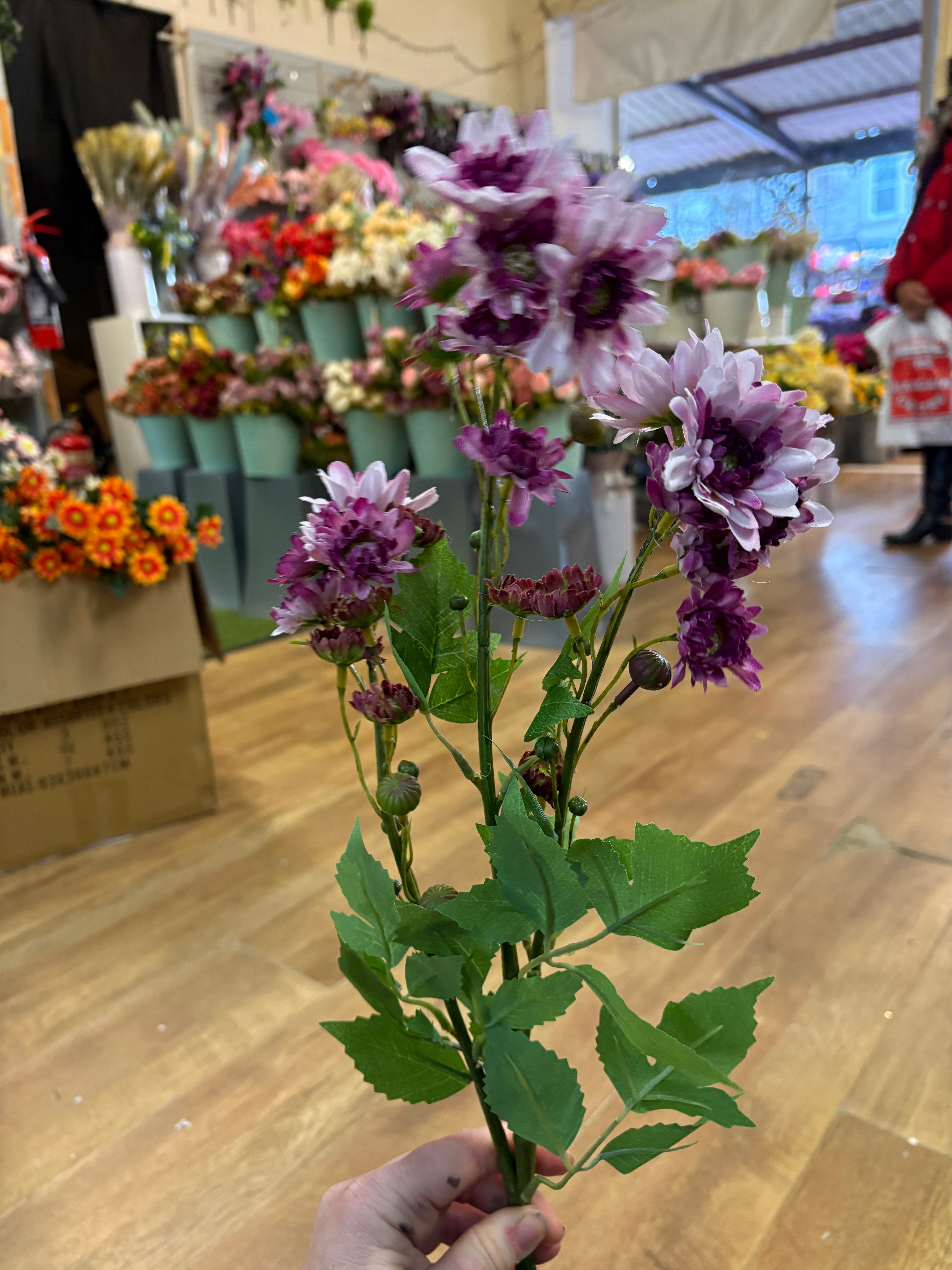 Long stem realistic mixed lilac and magenta traditional chrysanthemum spray