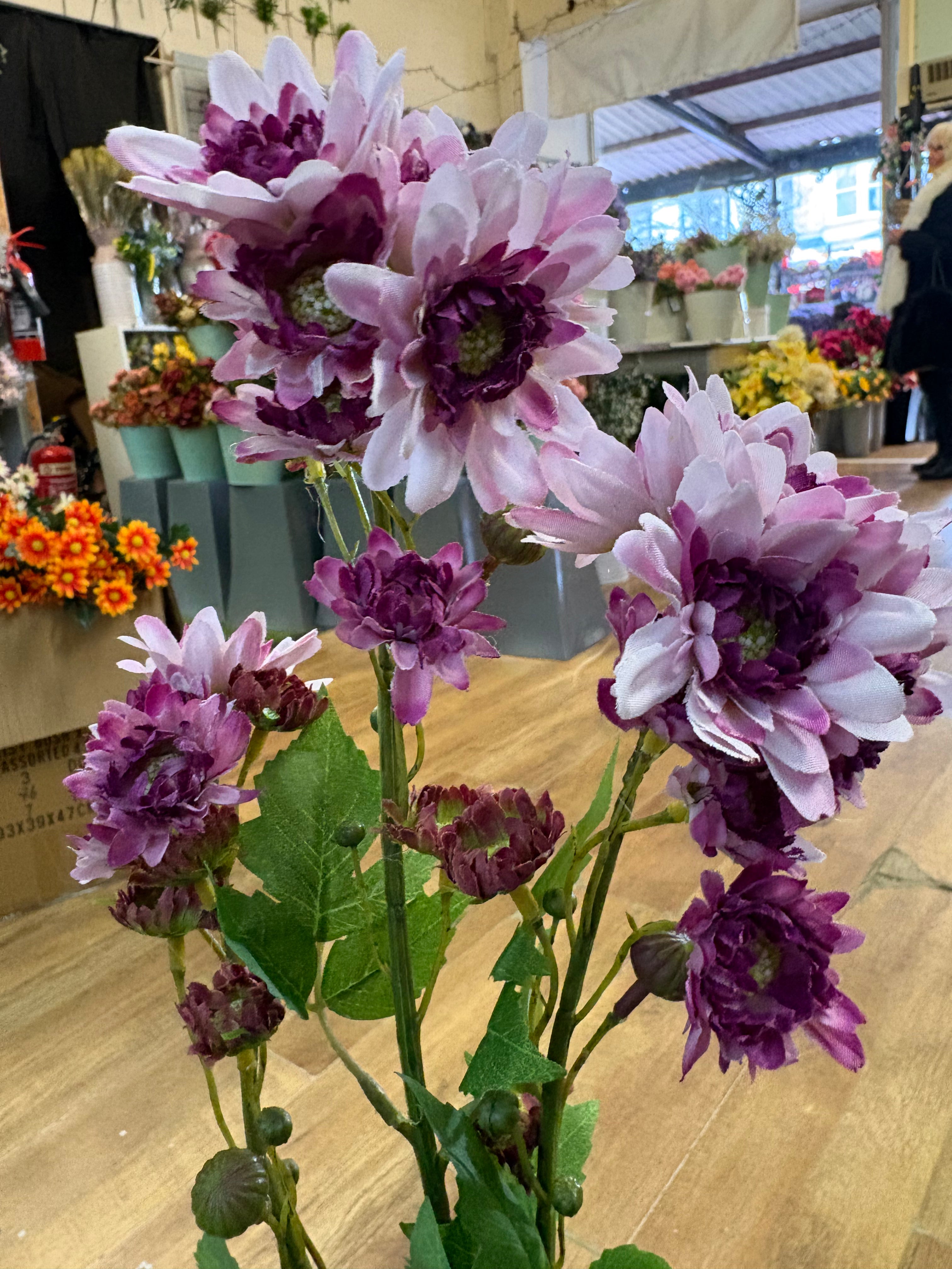 Long stem realistic mixed lilac and magenta traditional chrysanthemum spray