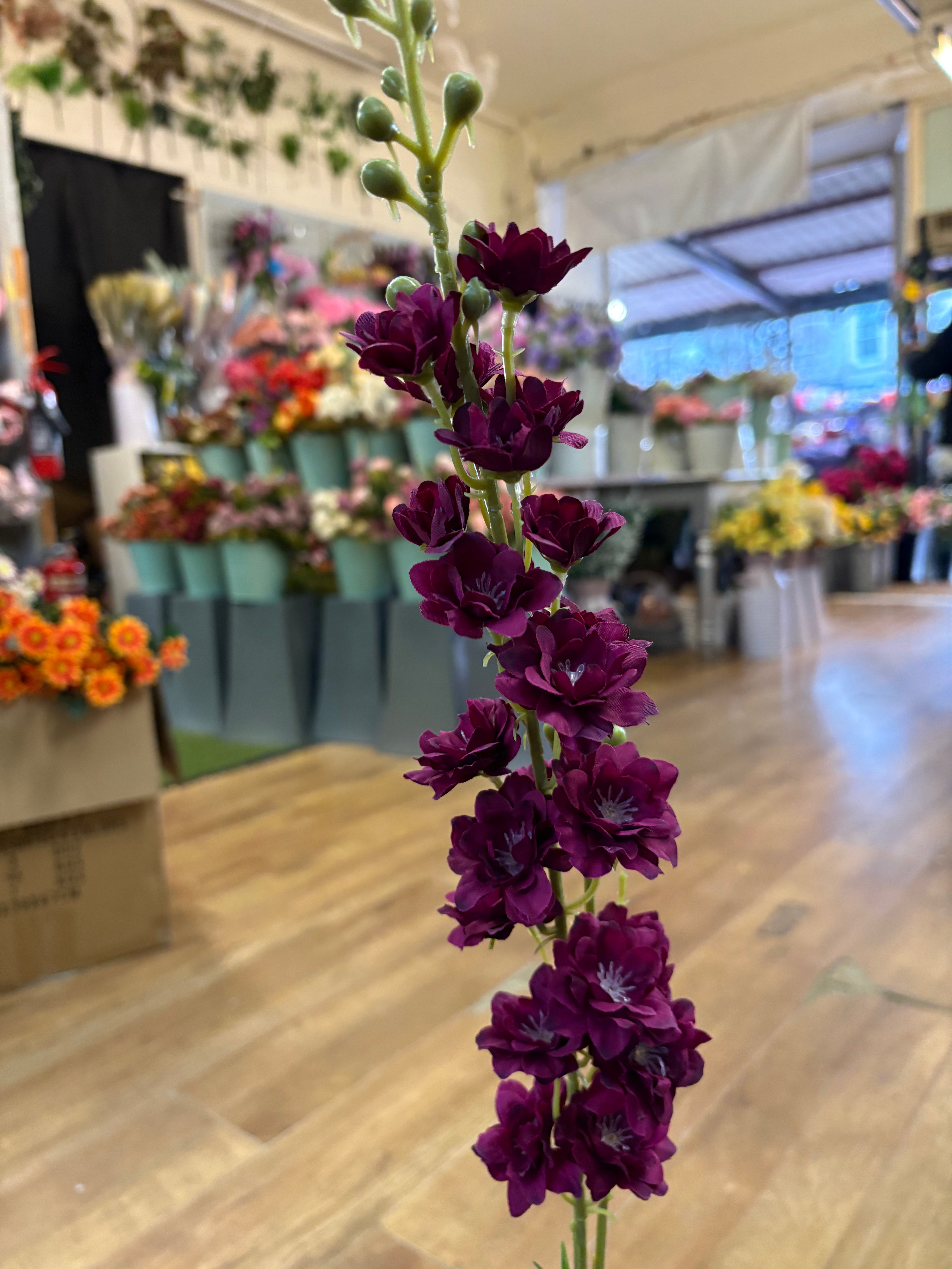 Long stem deep magenta stock flower
