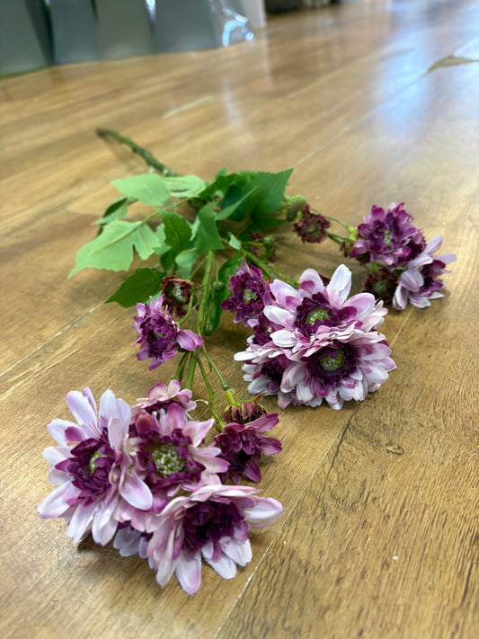 Long stem realistic mixed lilac and magenta traditional chrysanthemum spray