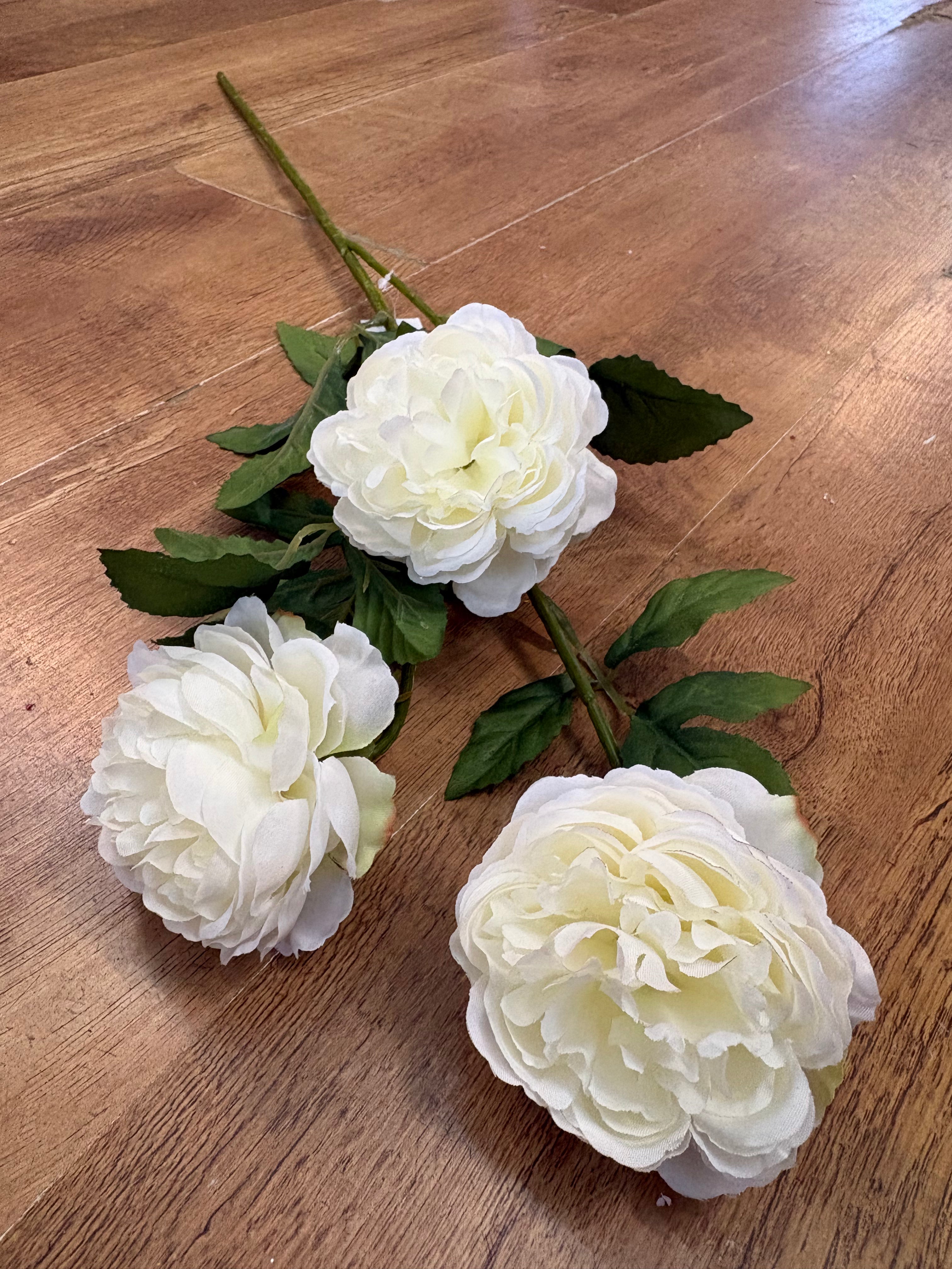 Long stem cream ruffled begonia spray