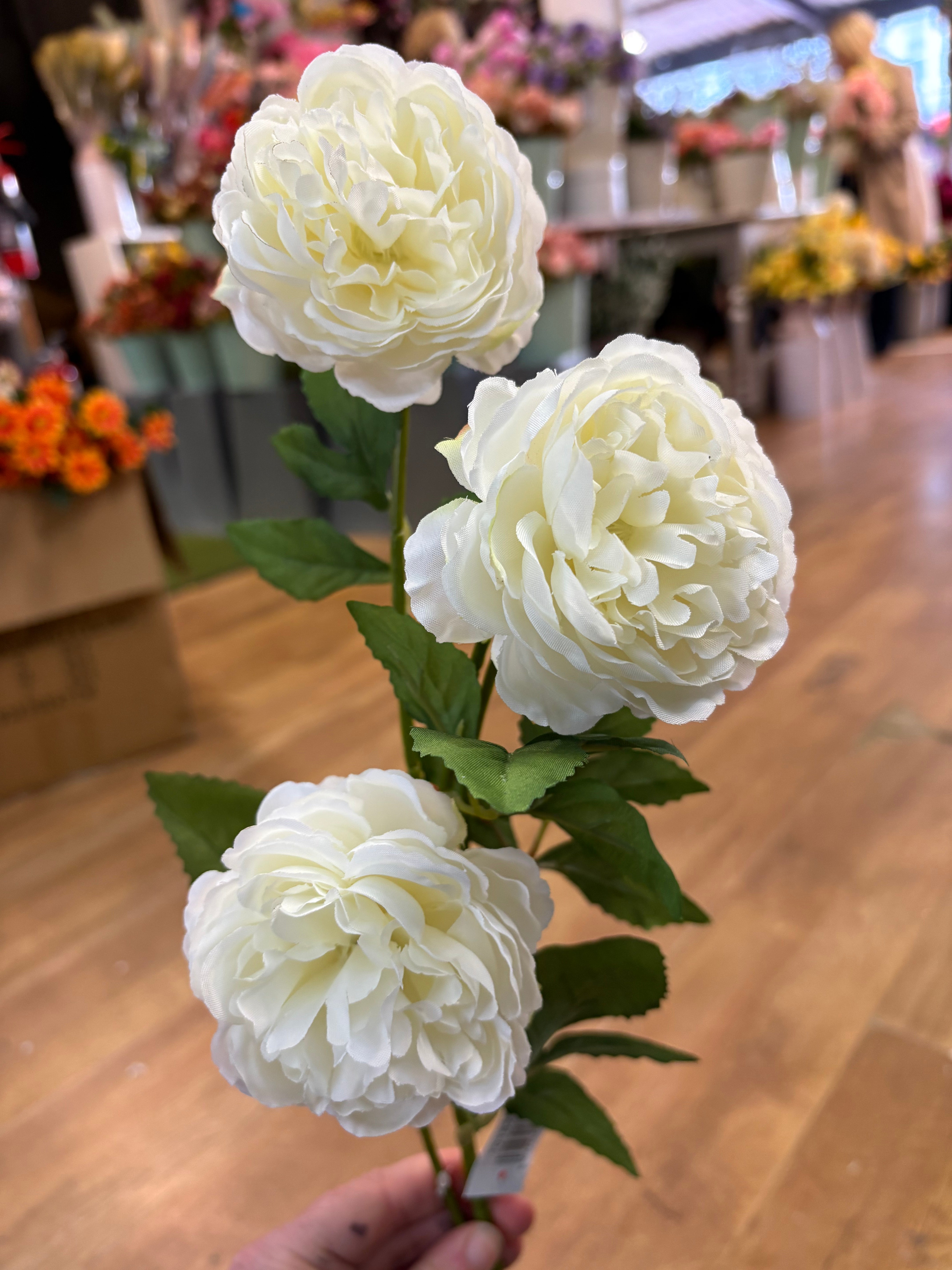 Long stem cream ruffled begonia spray