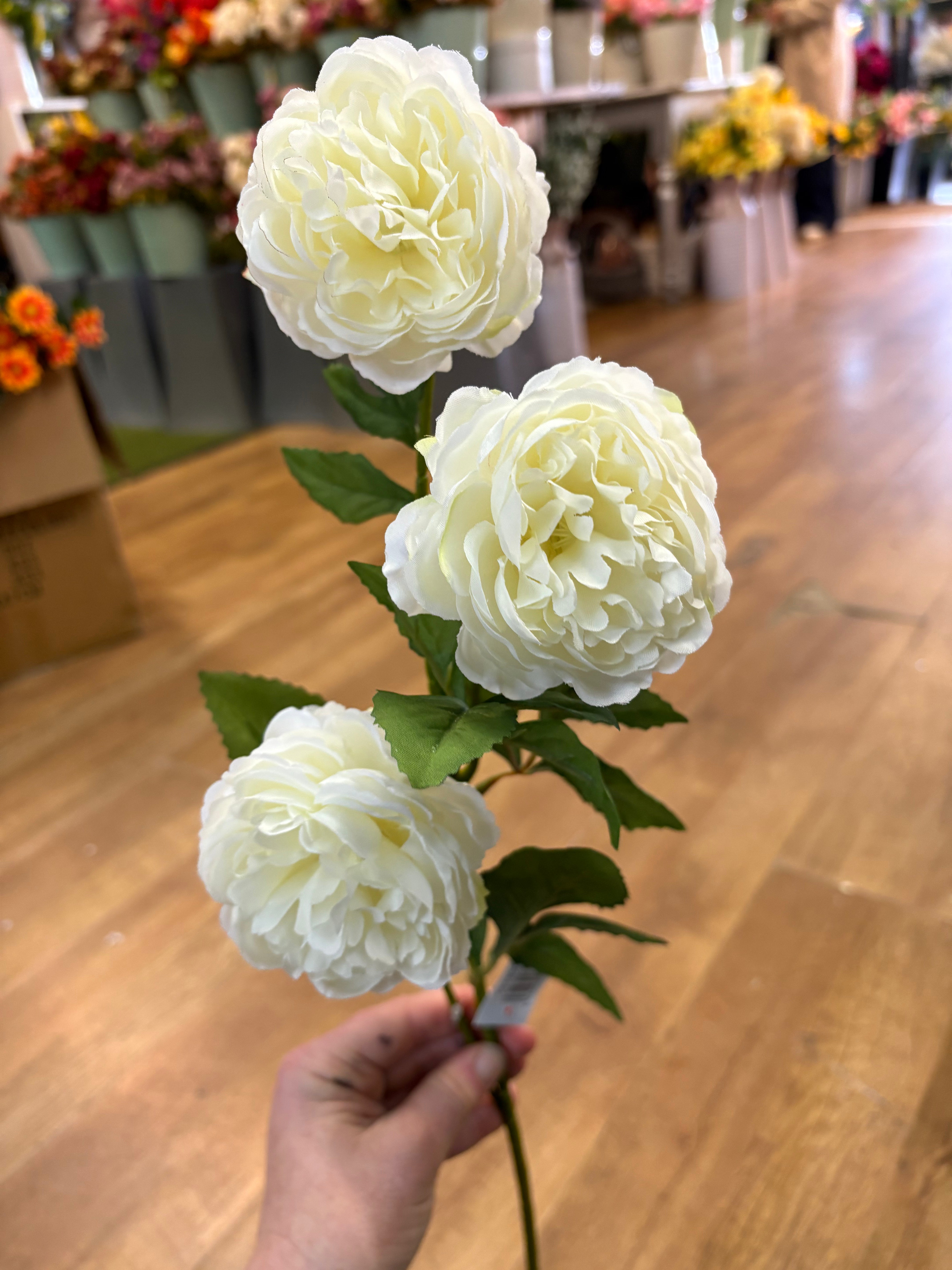 Long stem cream ruffled begonia spray
