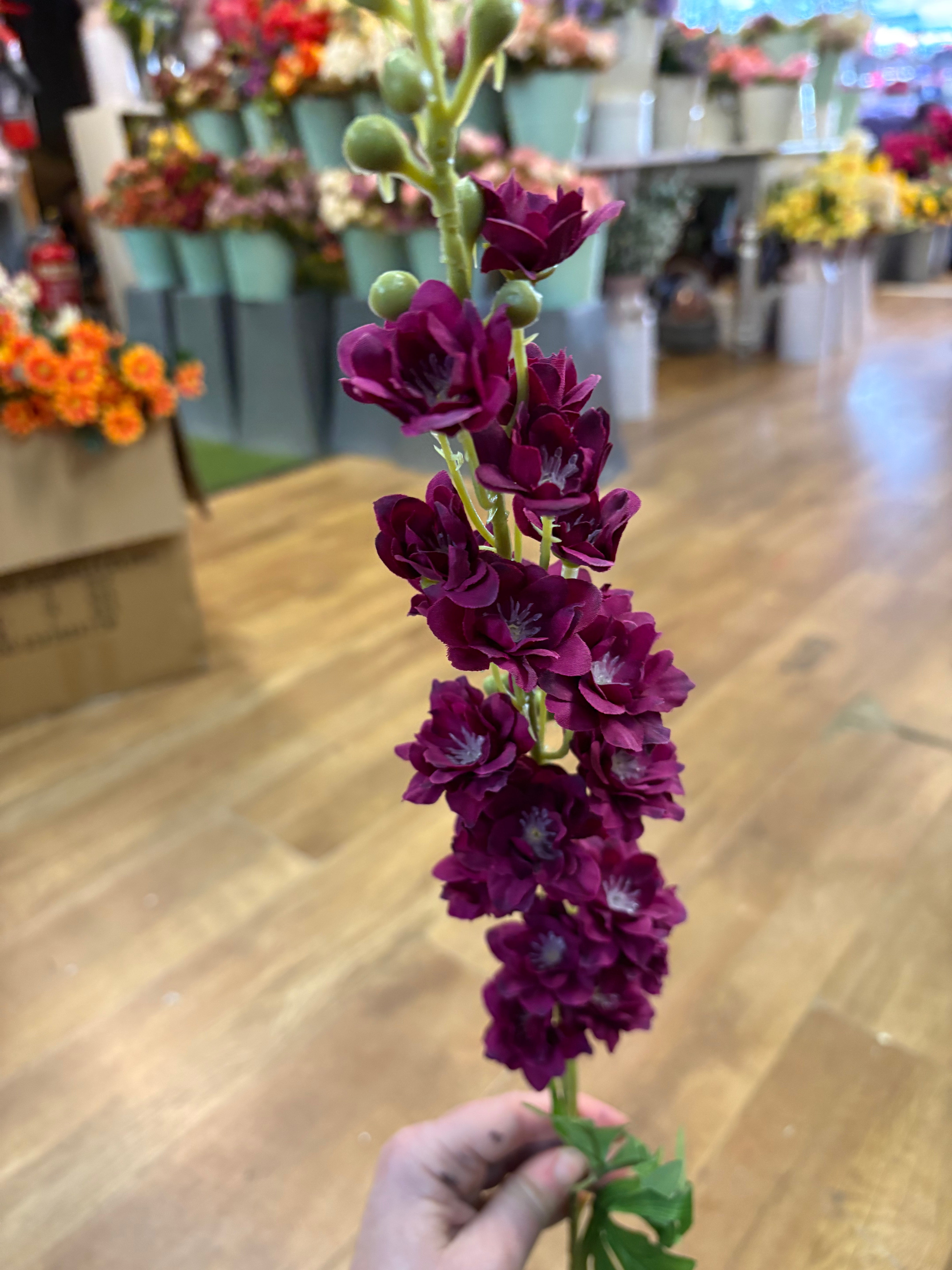 Long stem deep magenta stock flower