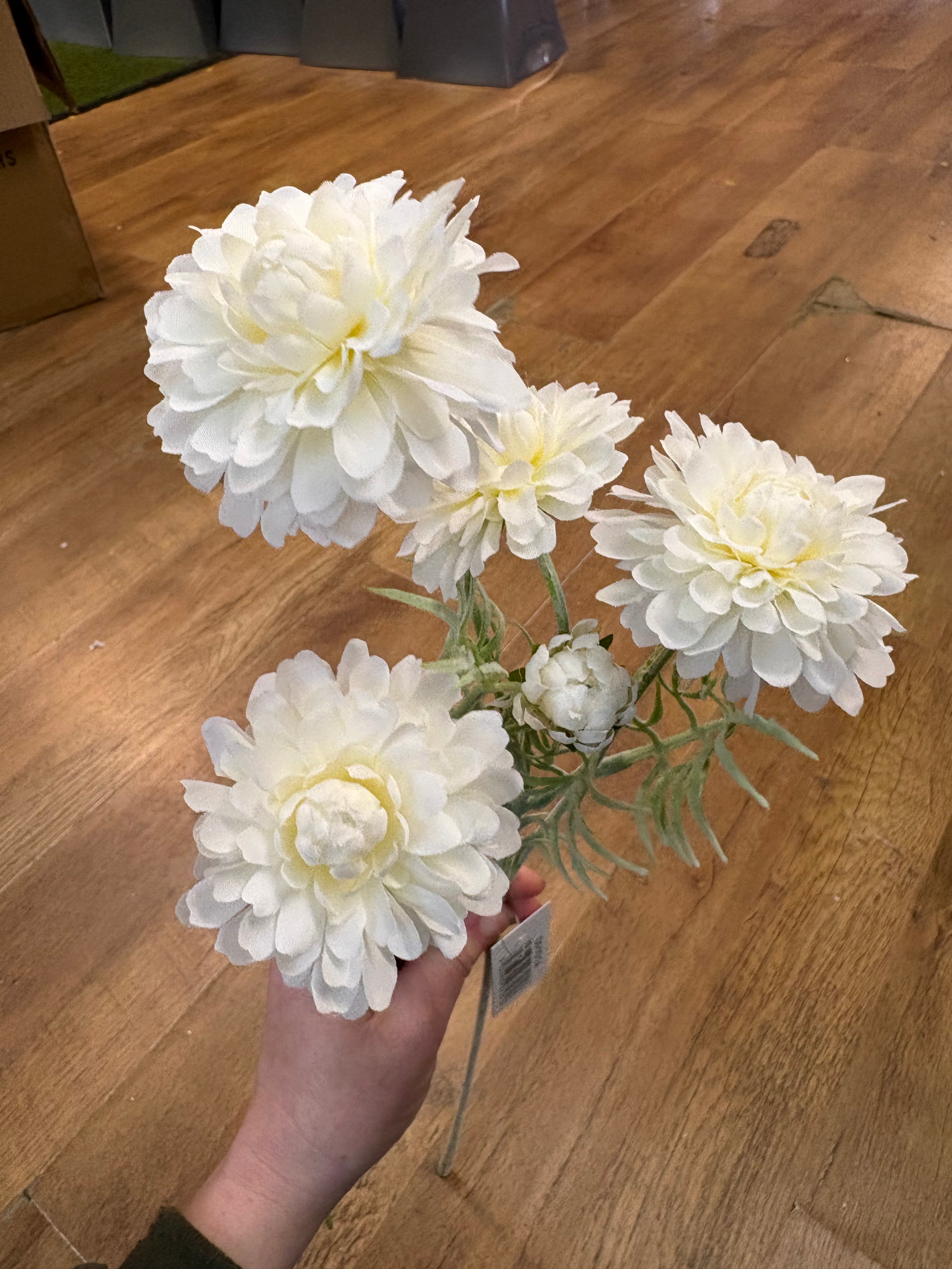 Long stem cream melody spray