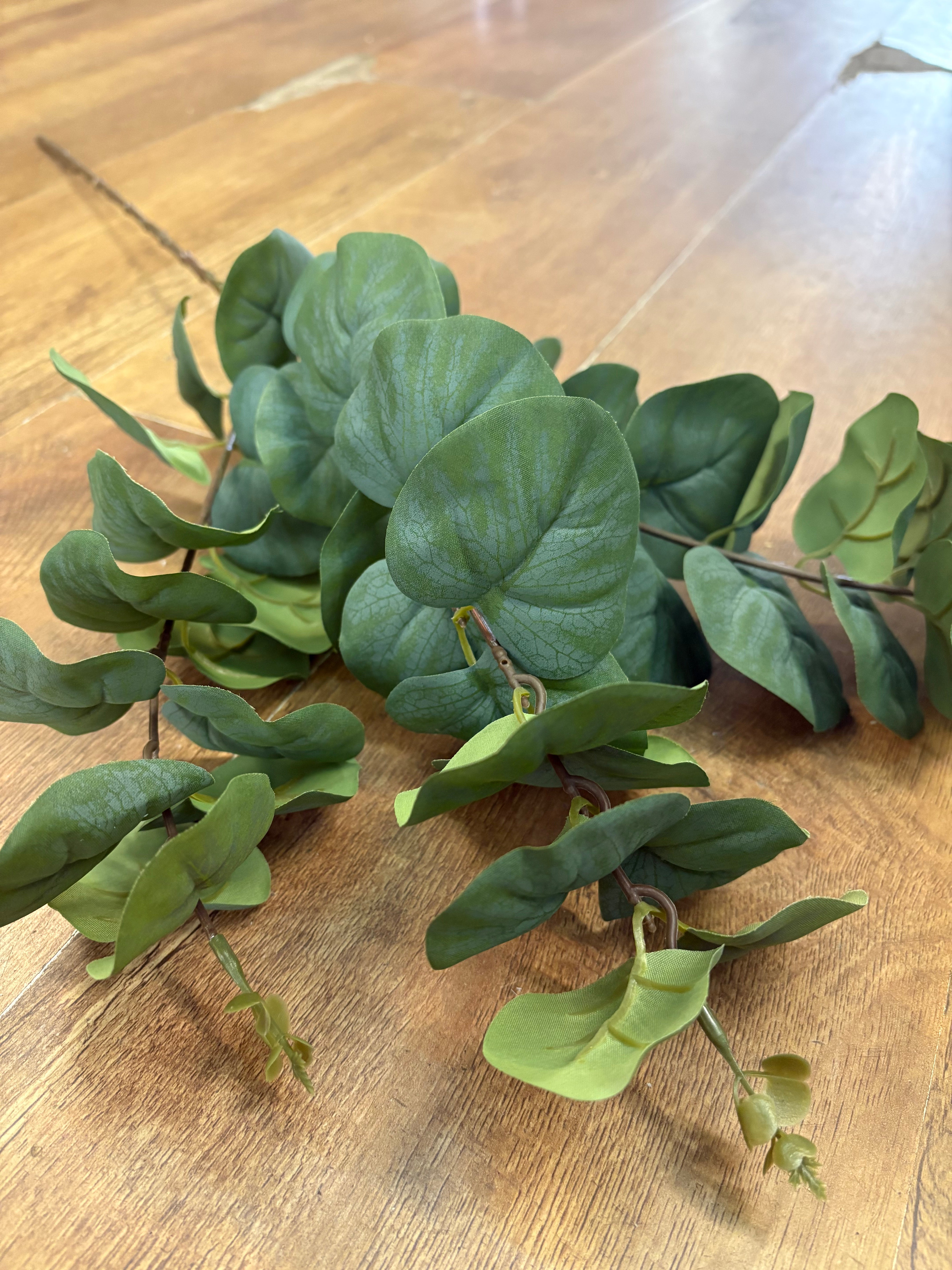 Rounded leaf eucalyptus spray