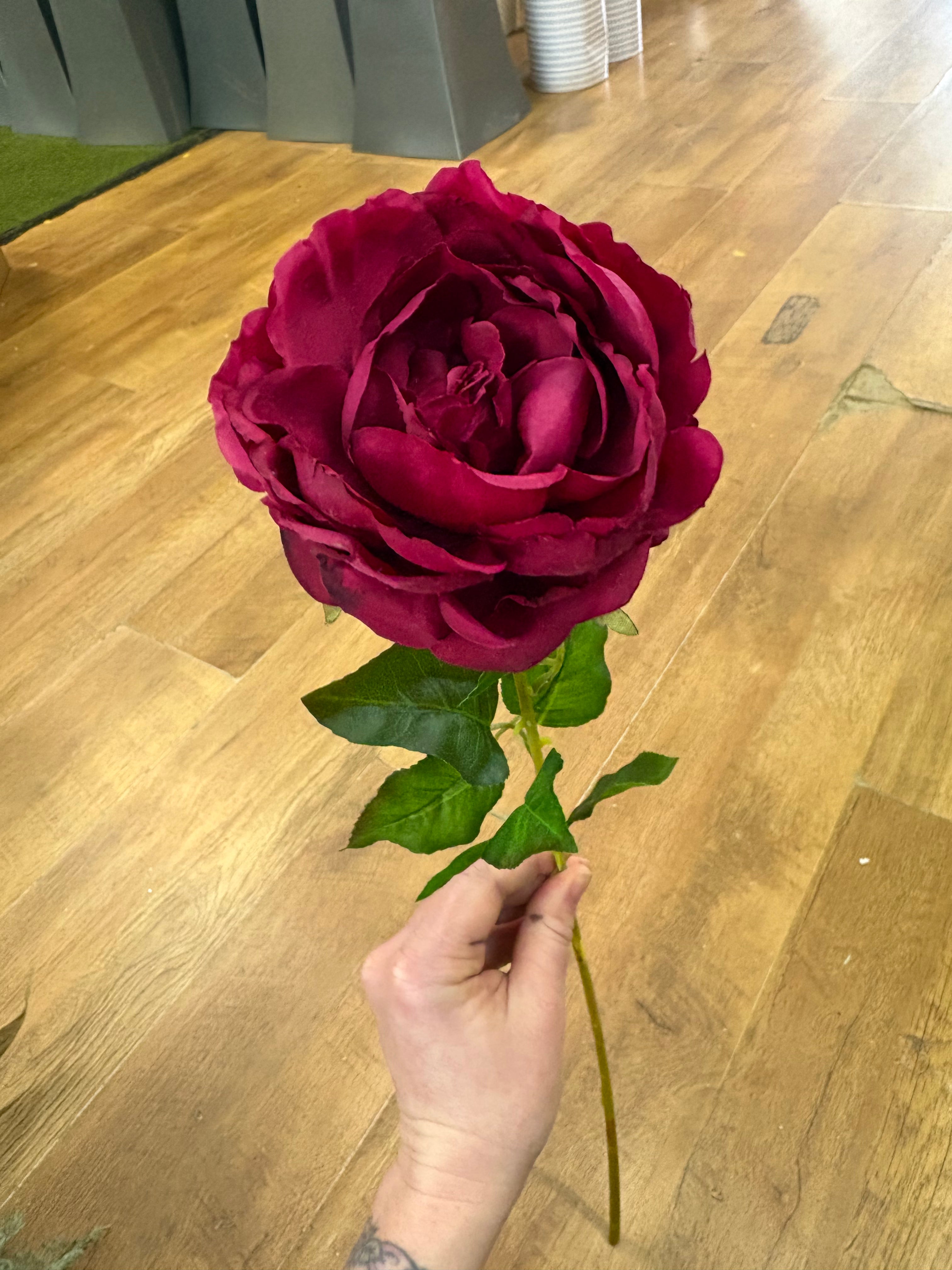 Hot pink Lola peony stem