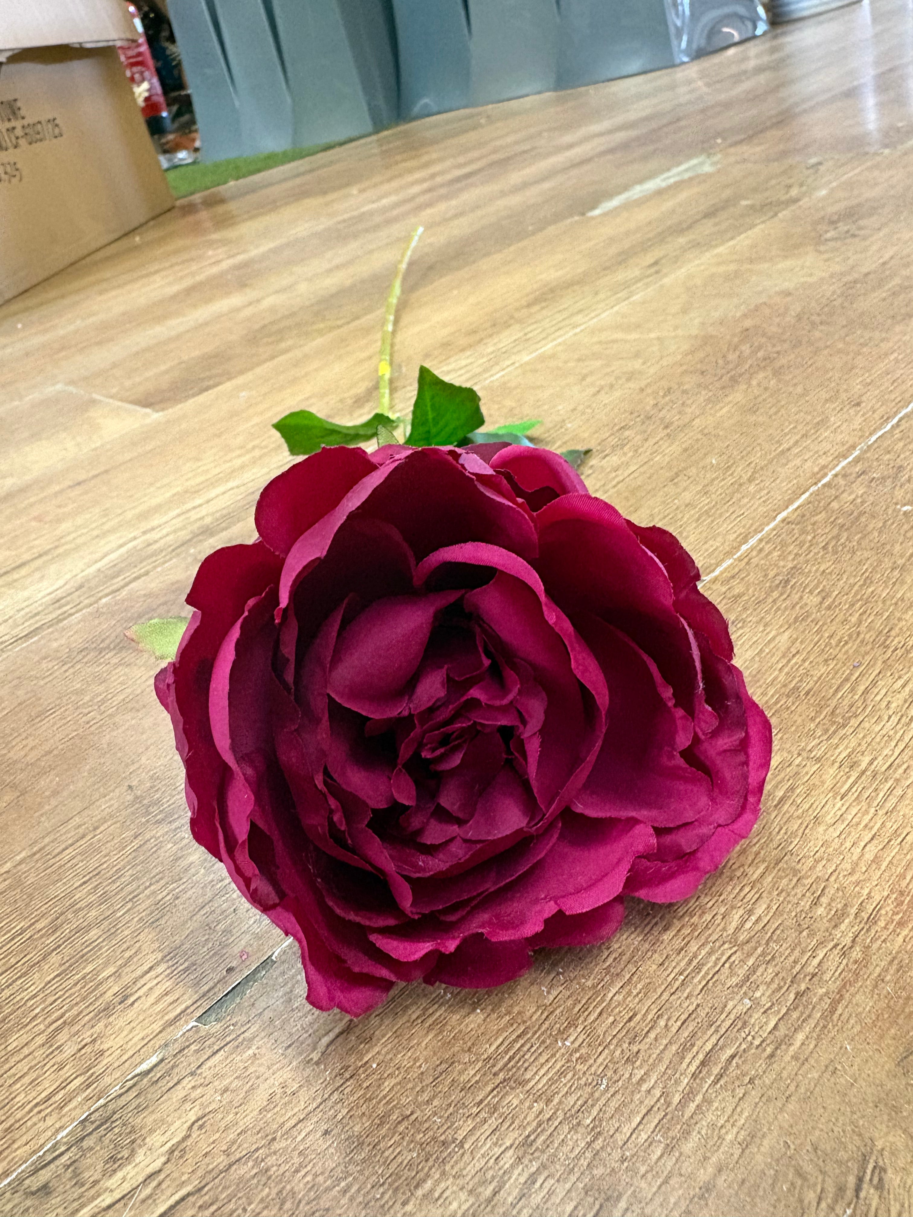 Hot pink Lola peony stem