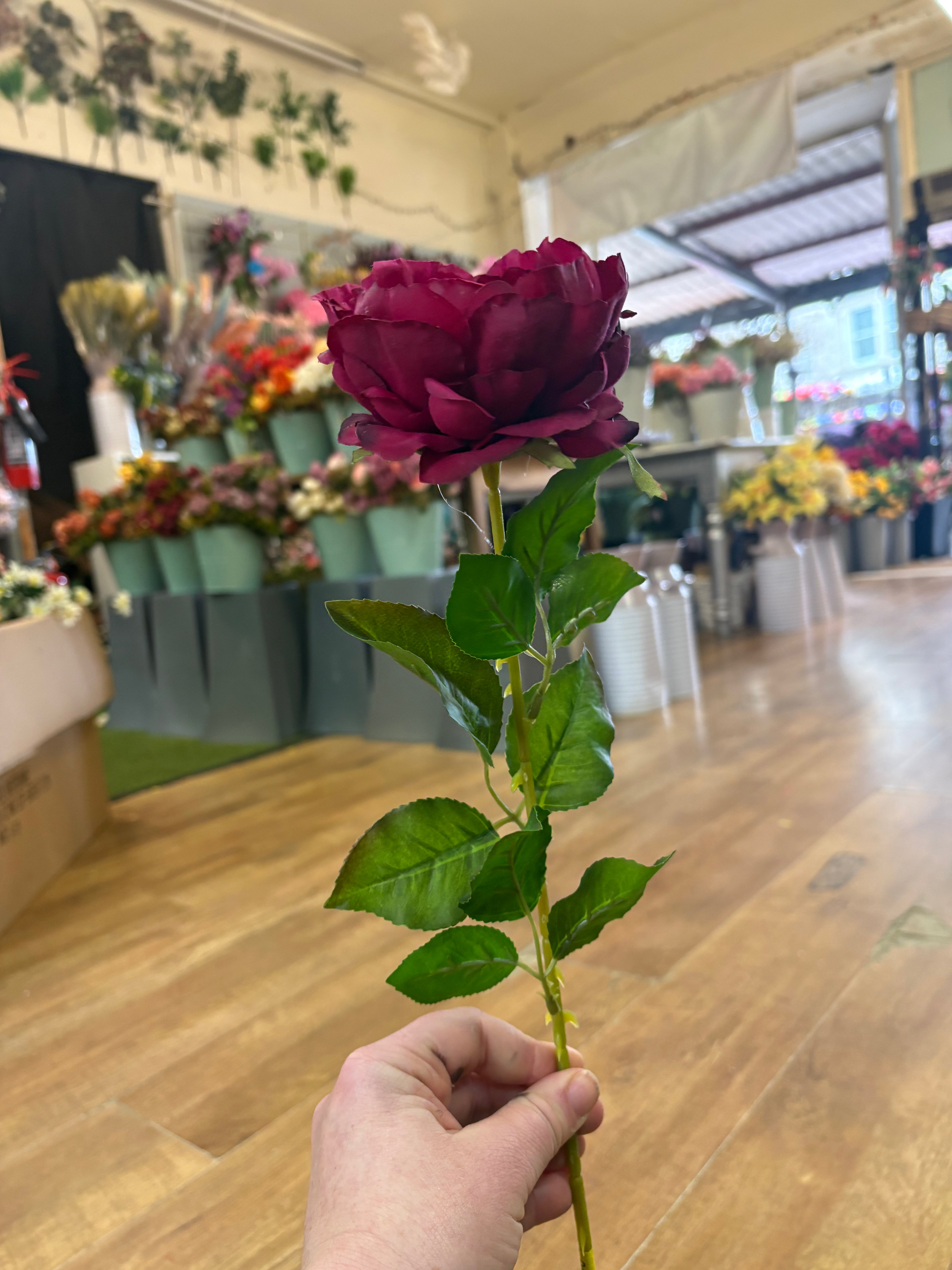 Hot pink Lola peony stem