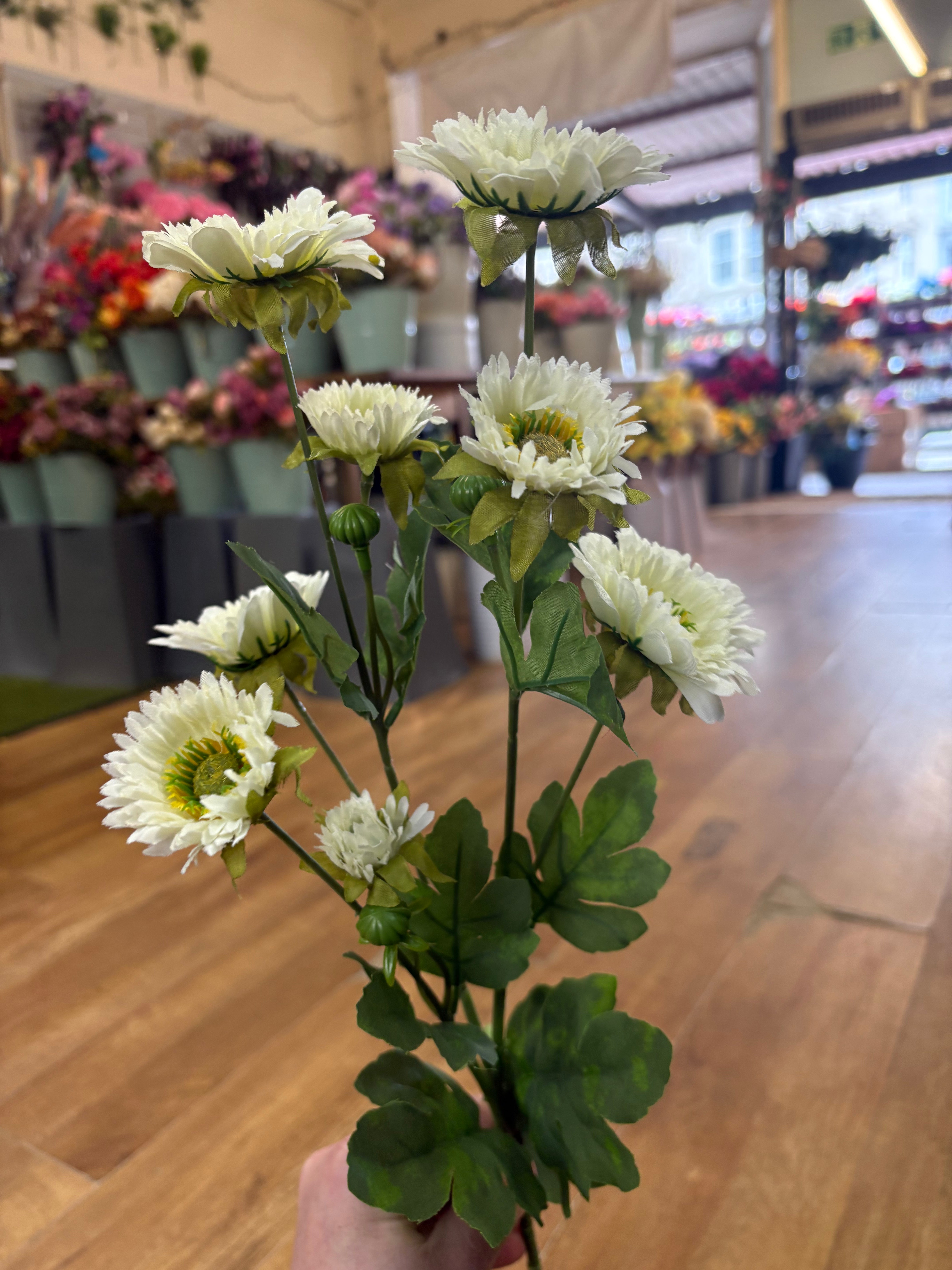 Long stem ivory wild gerbera spray