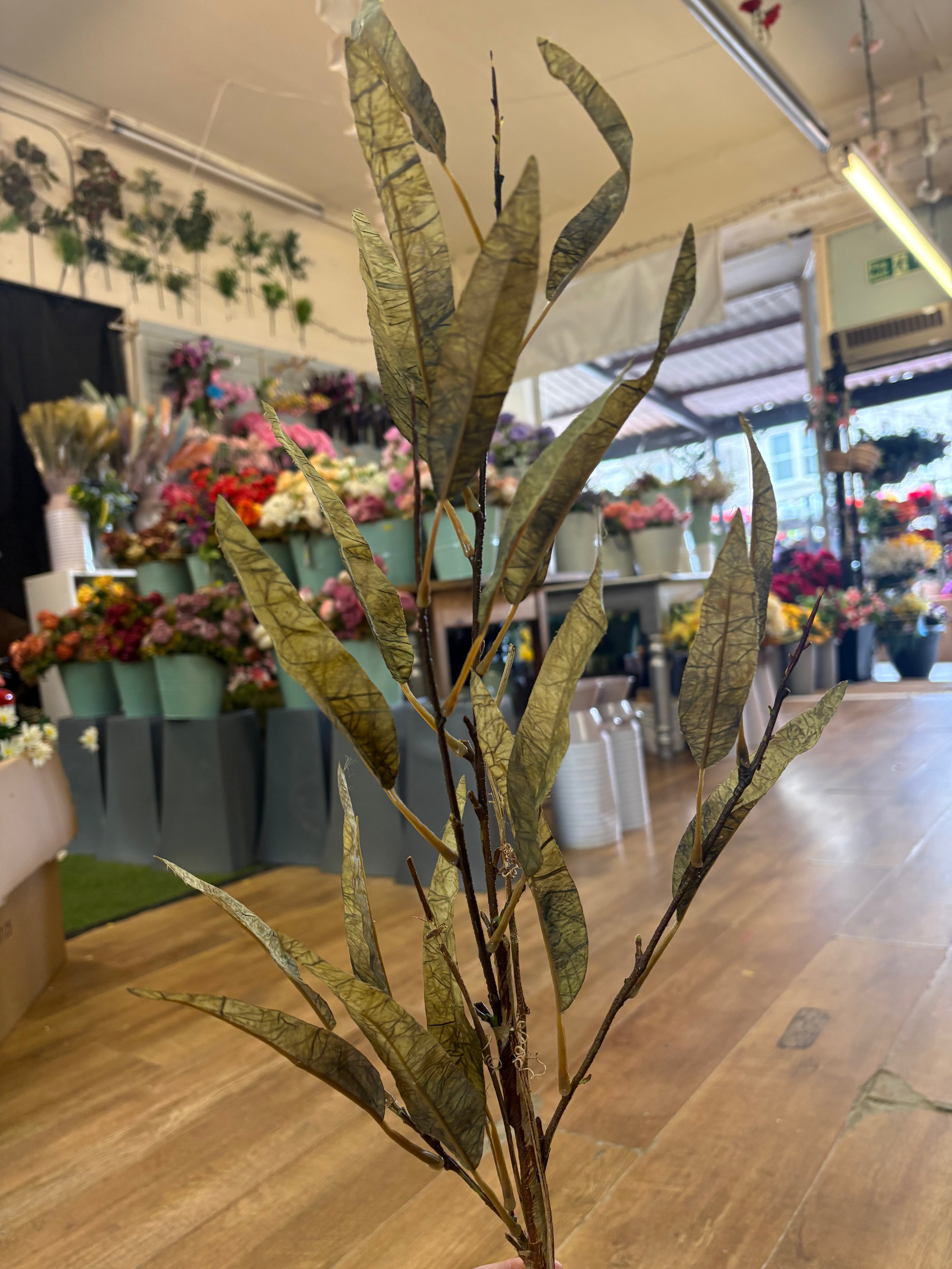 Green long stem dried touch slim leaf branch