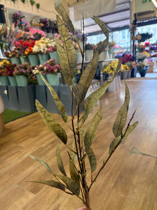Green long stem dried touch slim leaf branch