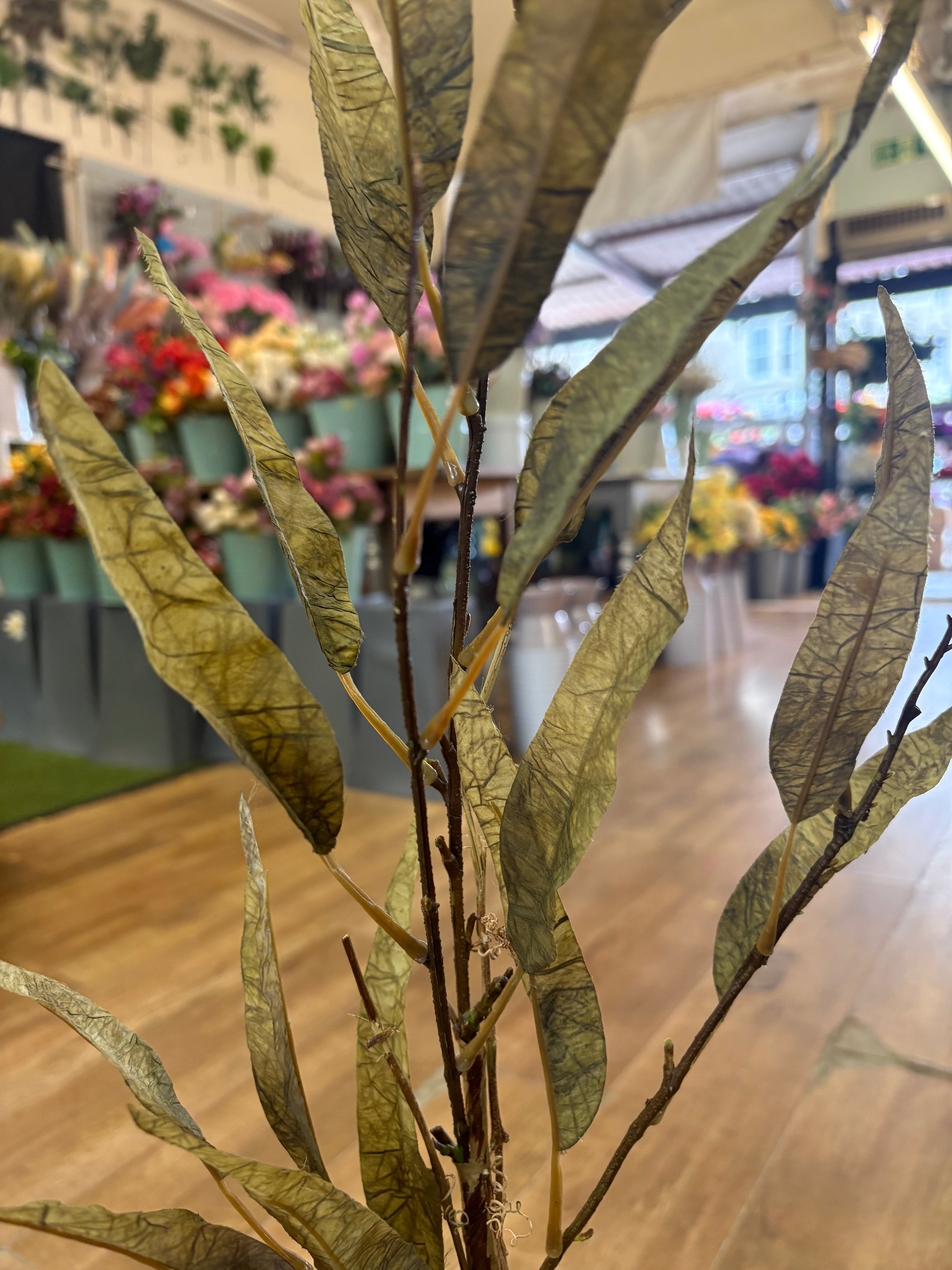 Green long stem dried touch slim leaf branch
