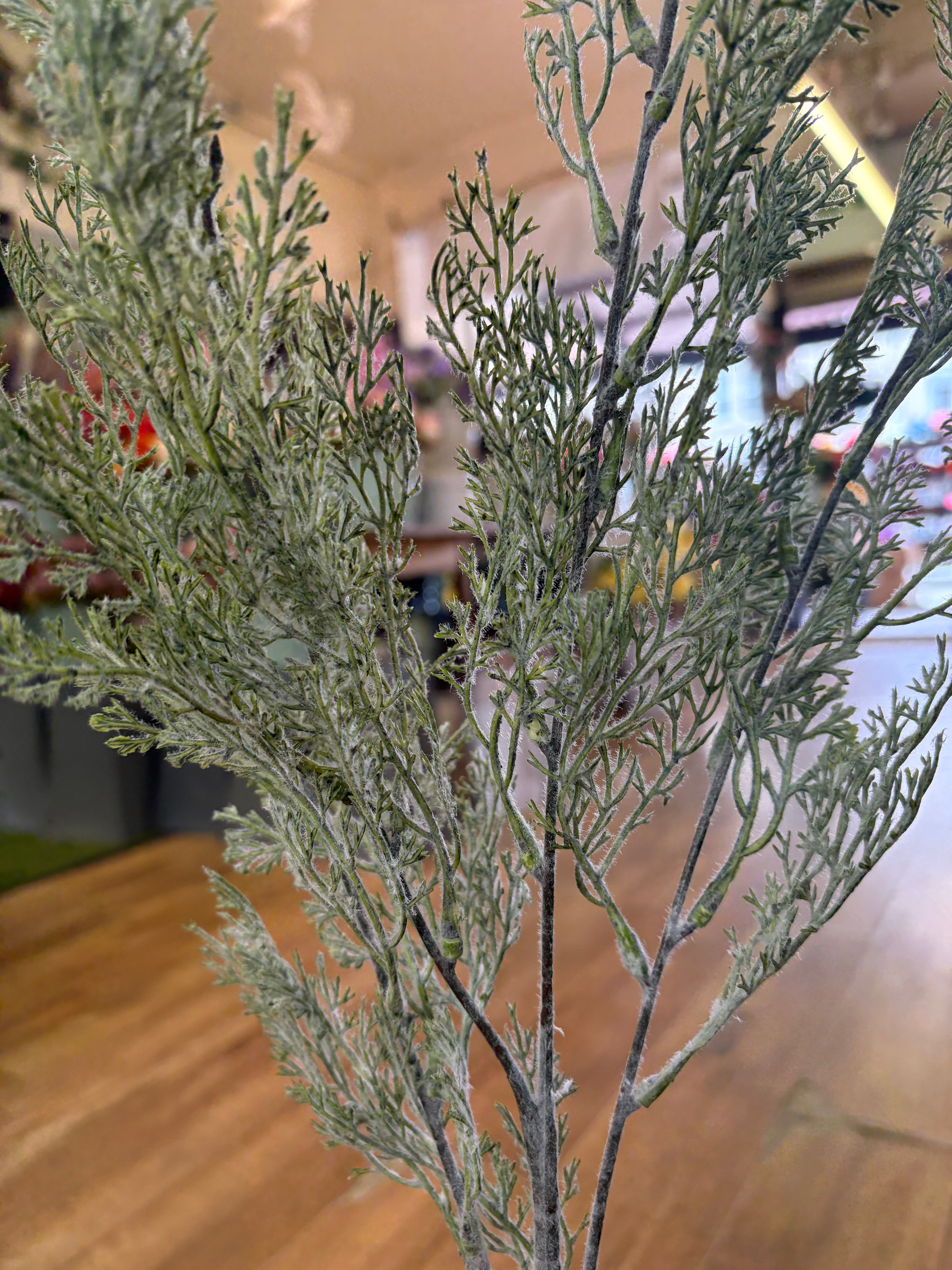 Long stem green whimsical conifer spray