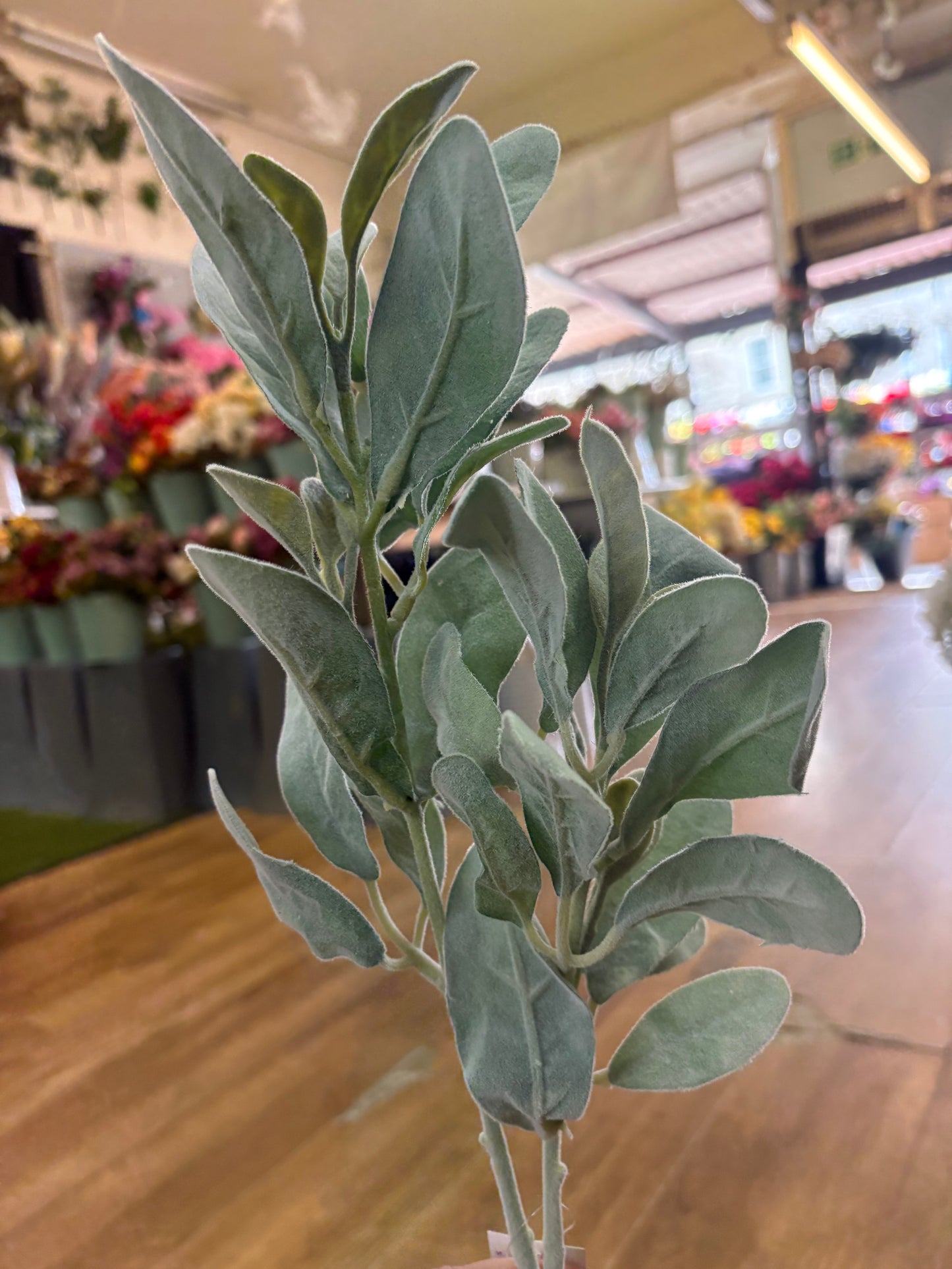 Long stem natural green lambs ear spray