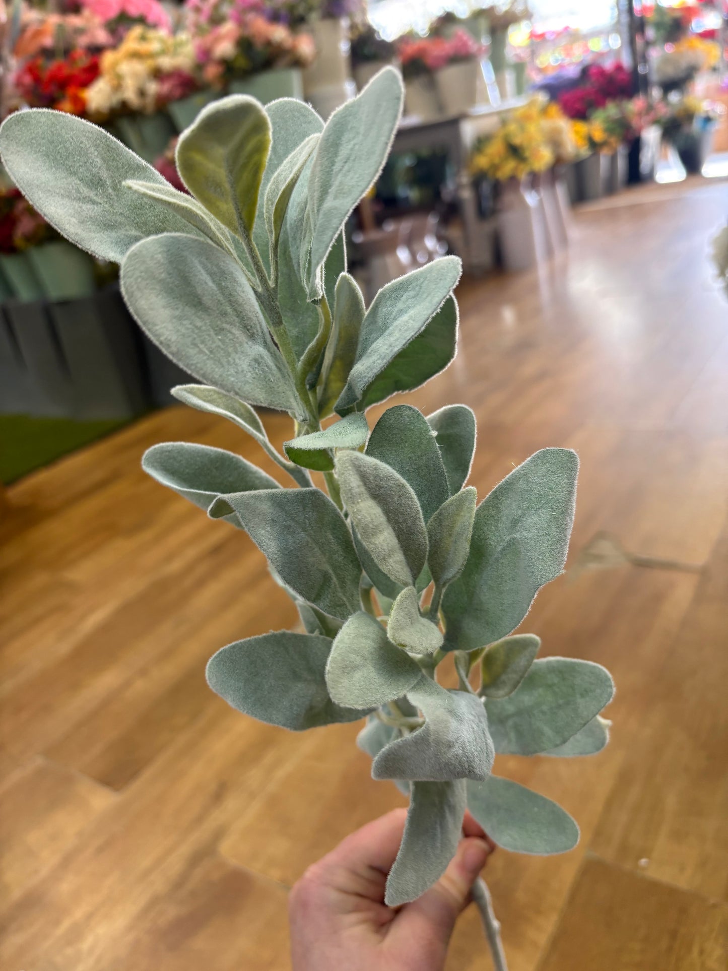 Long stem natural green lambs ear spray