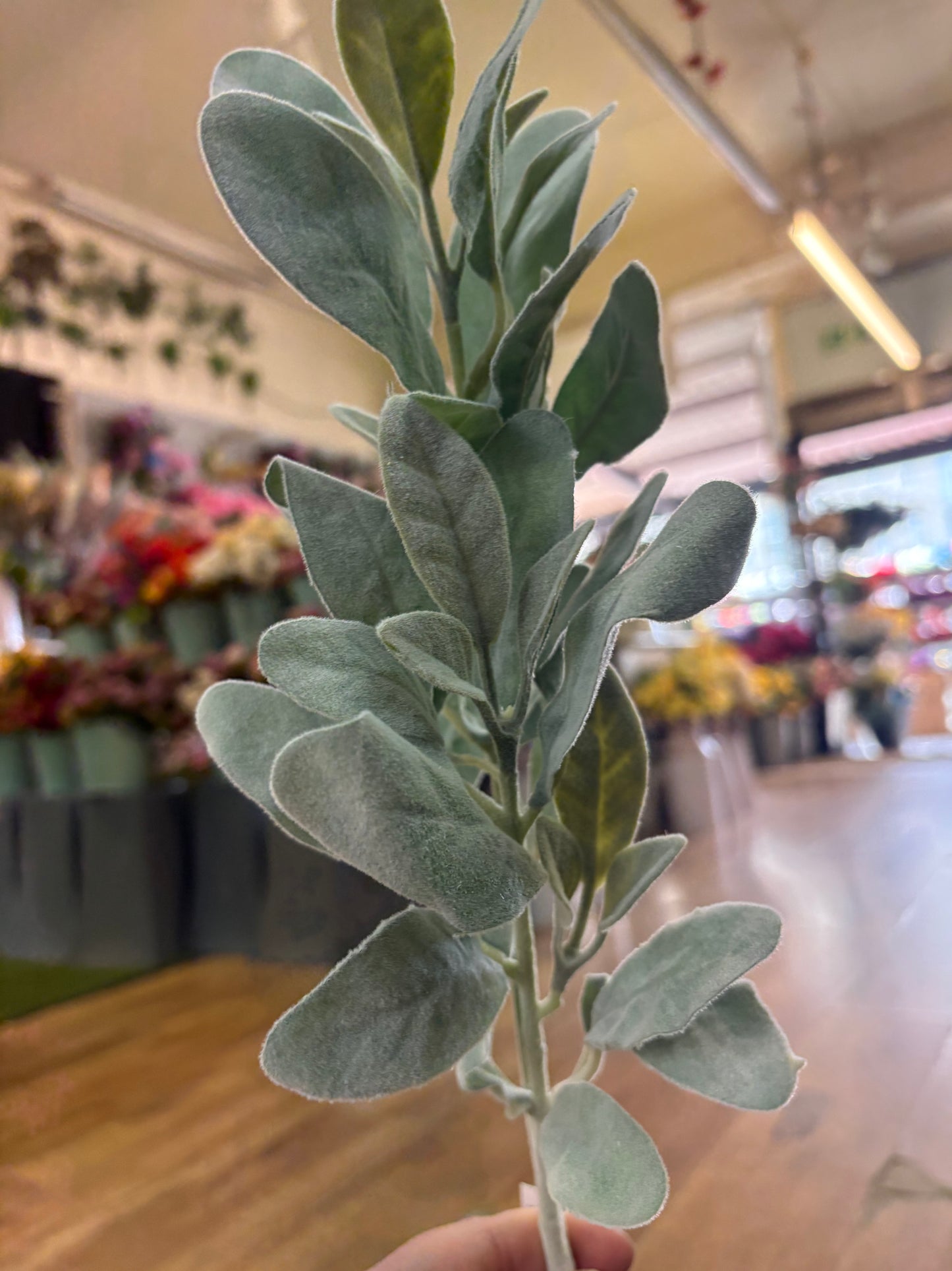 Long stem natural green lambs ear spray