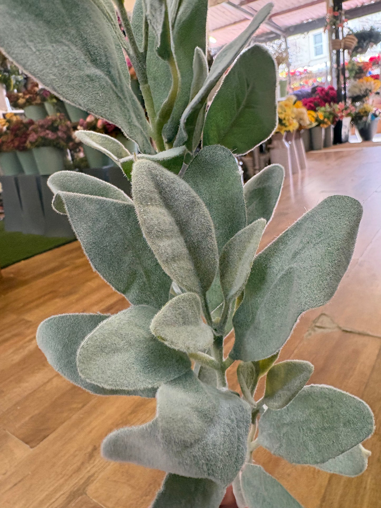 Long stem natural green lambs ear spray