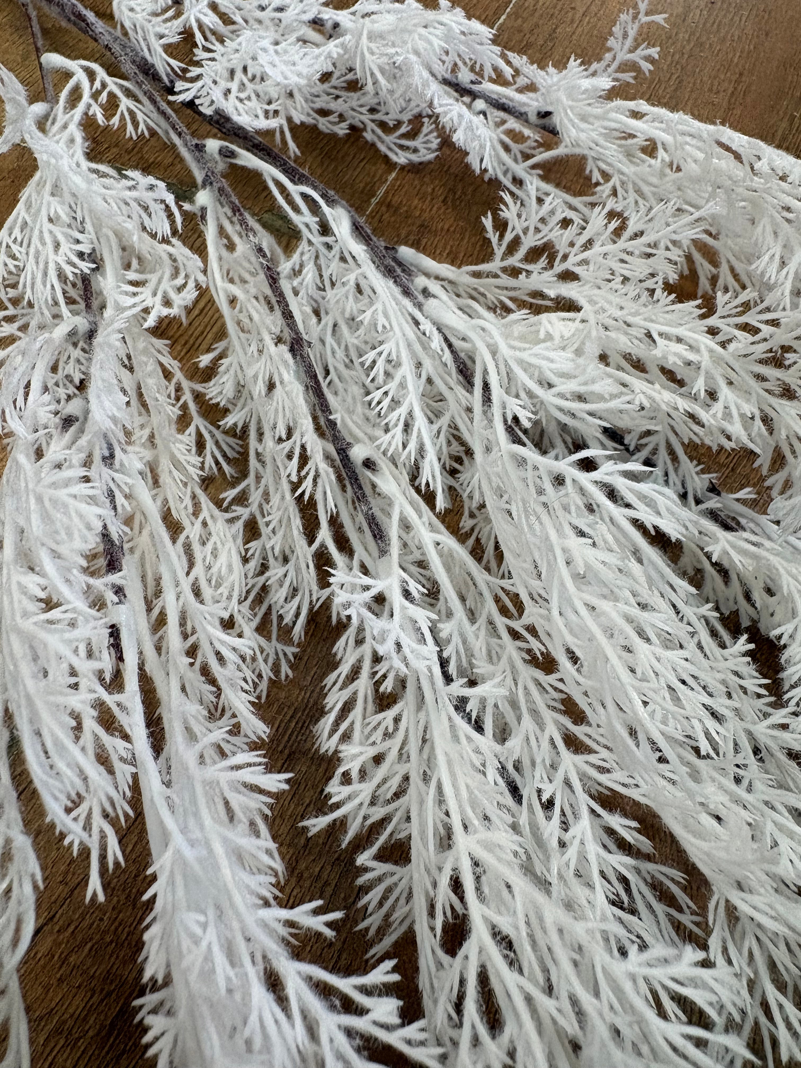 Long stem white whimsical conifer spray