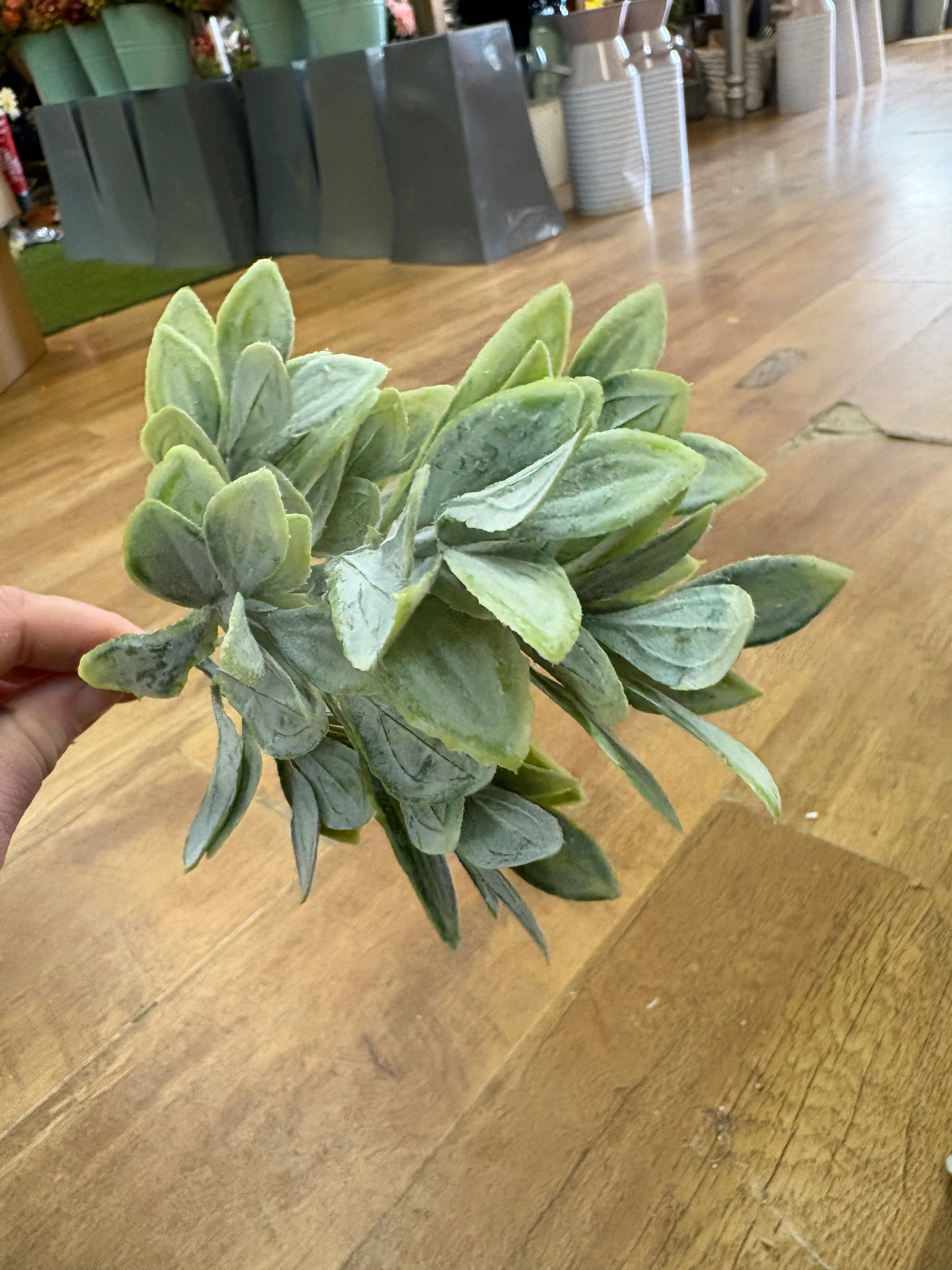 Natural green flocked leaf sprig pick (Ruscus)