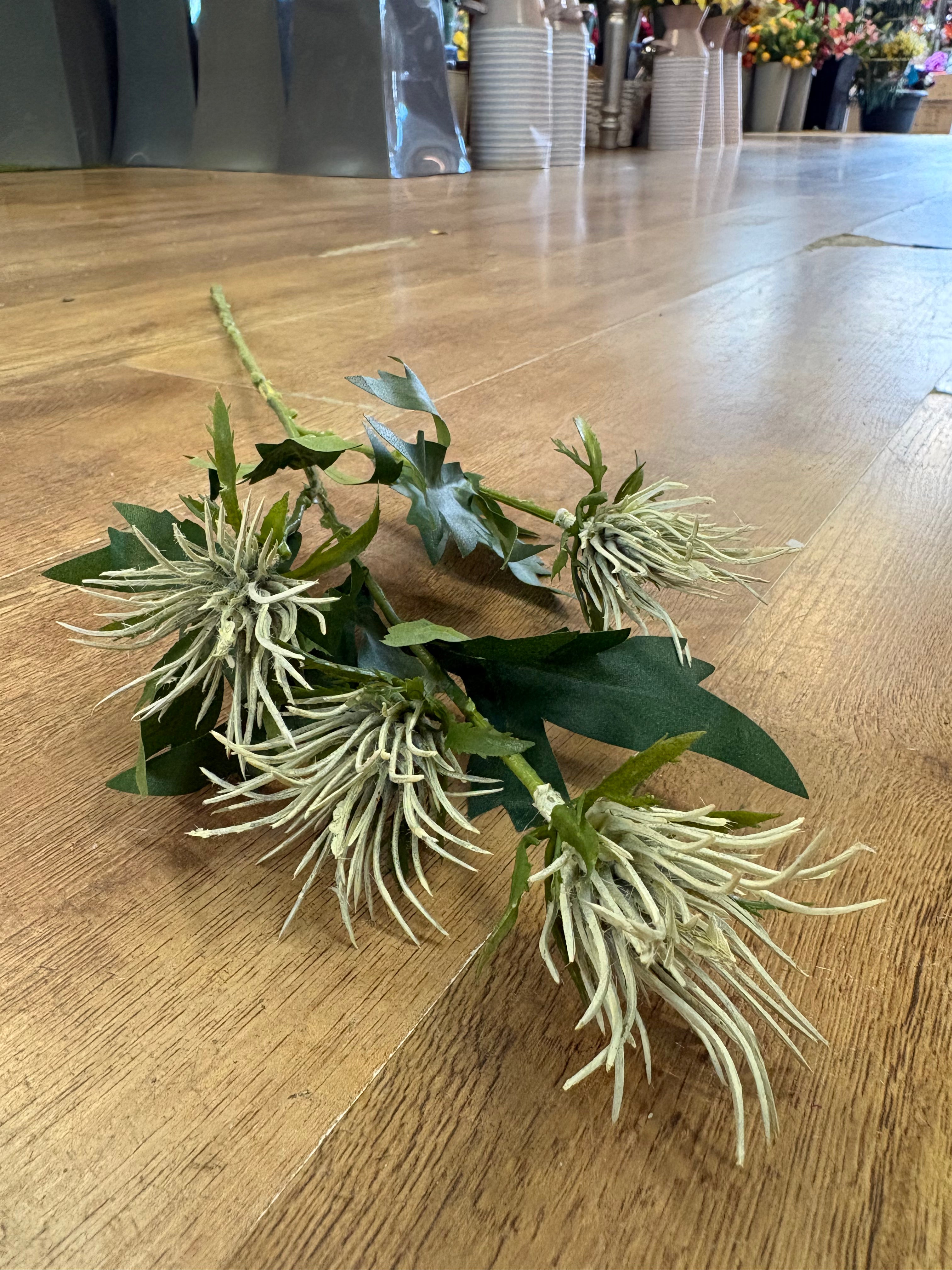 Long stem cream jagged thistle spray