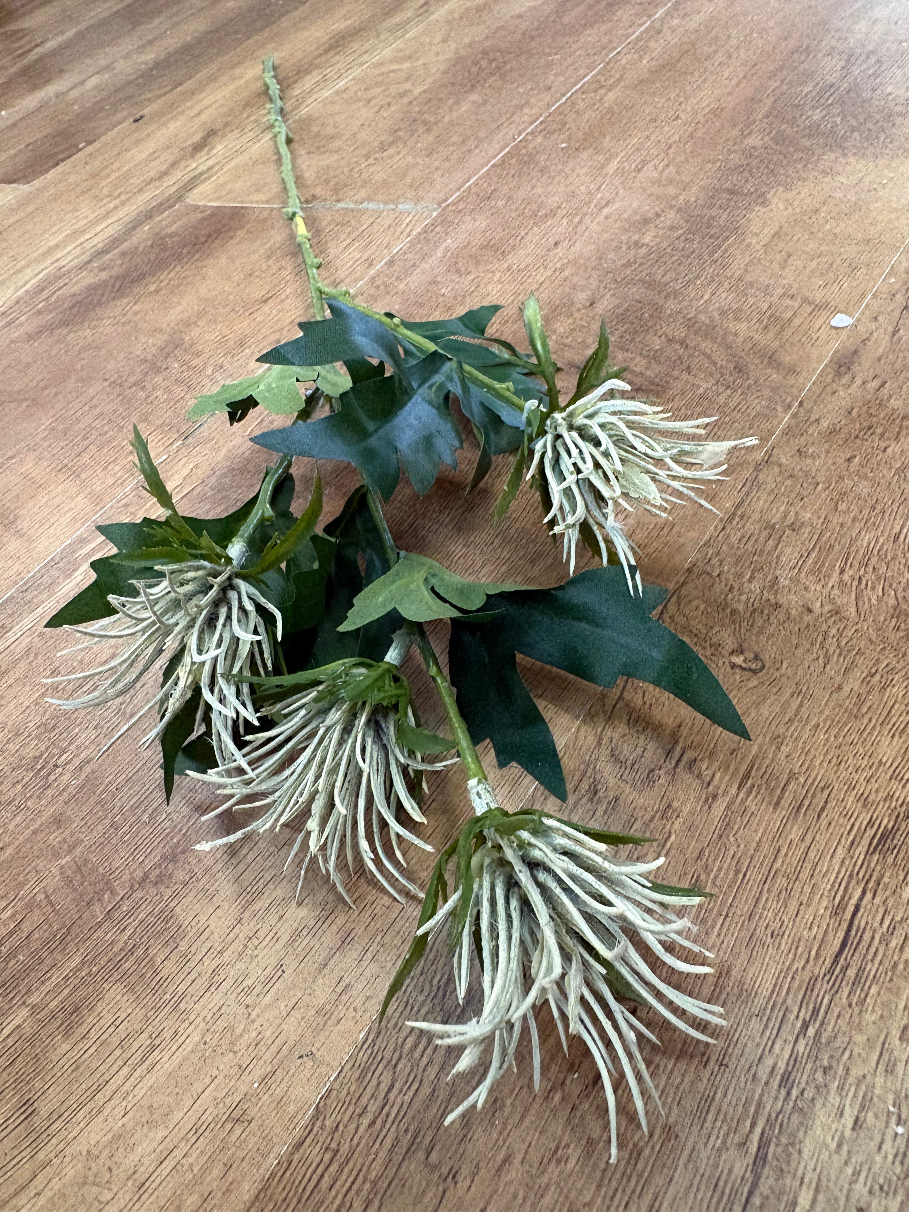 Long stem cream jagged thistle spray