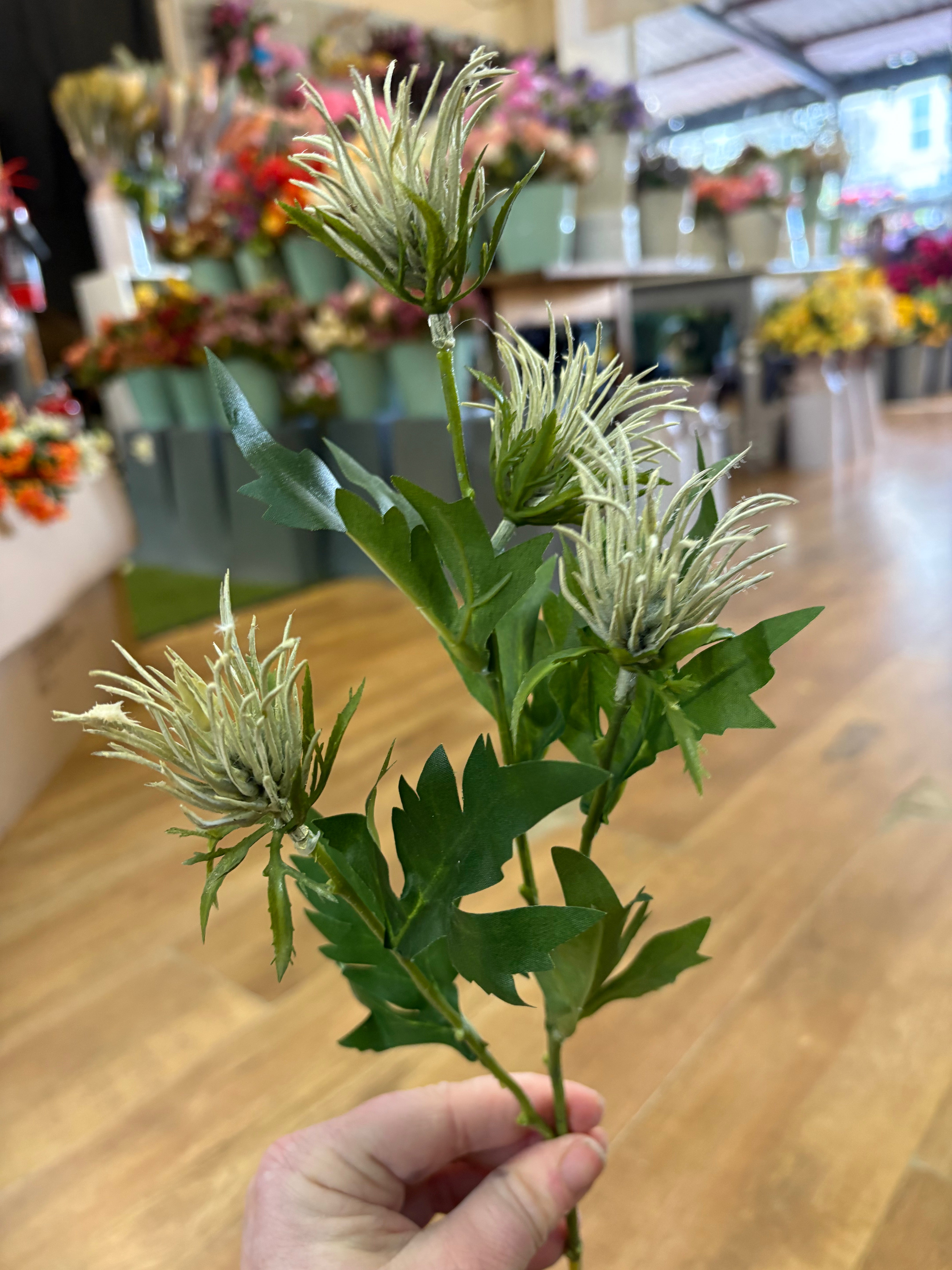 Long stem cream jagged thistle spray