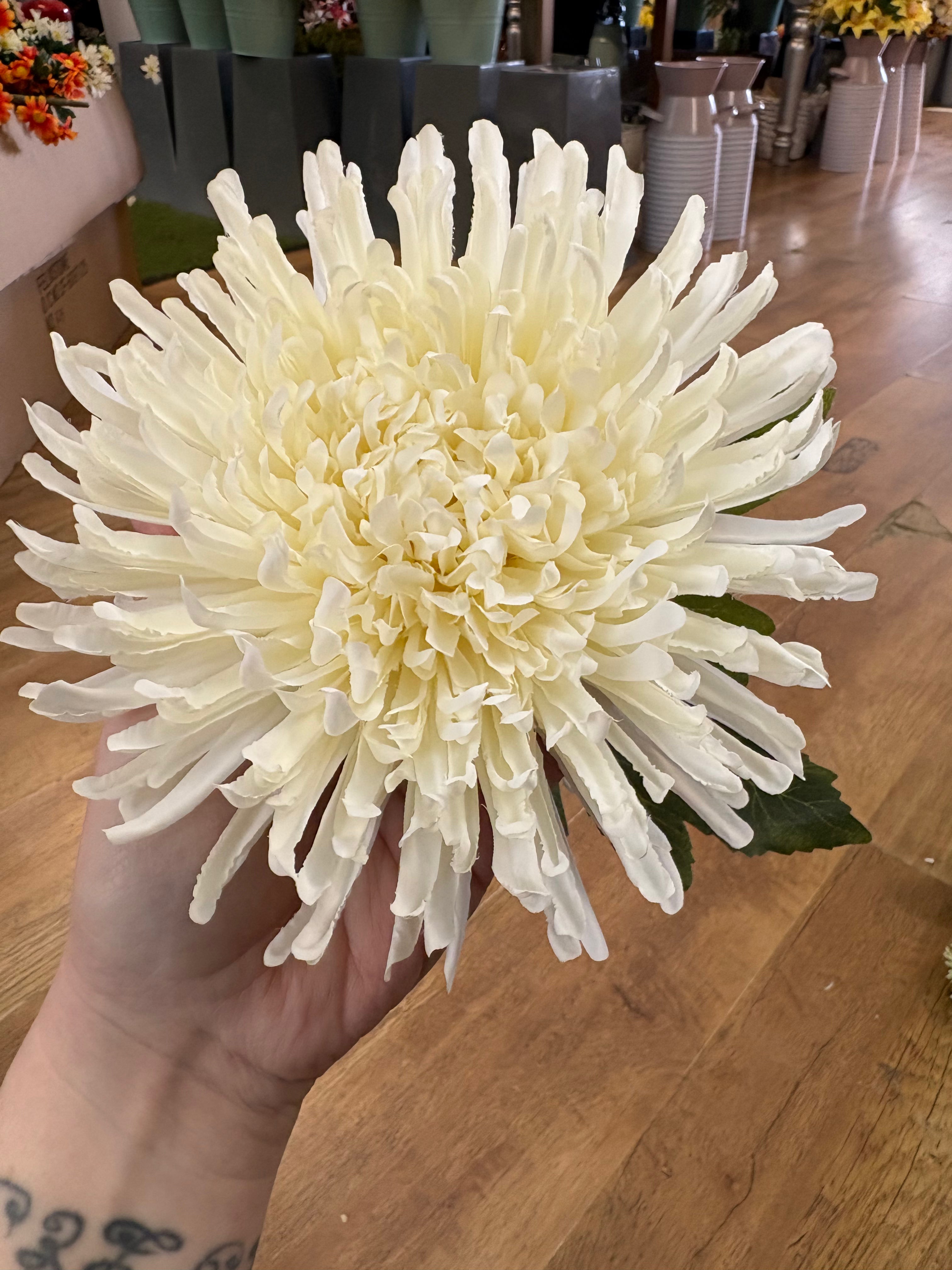 Long stem cream Fuji mum