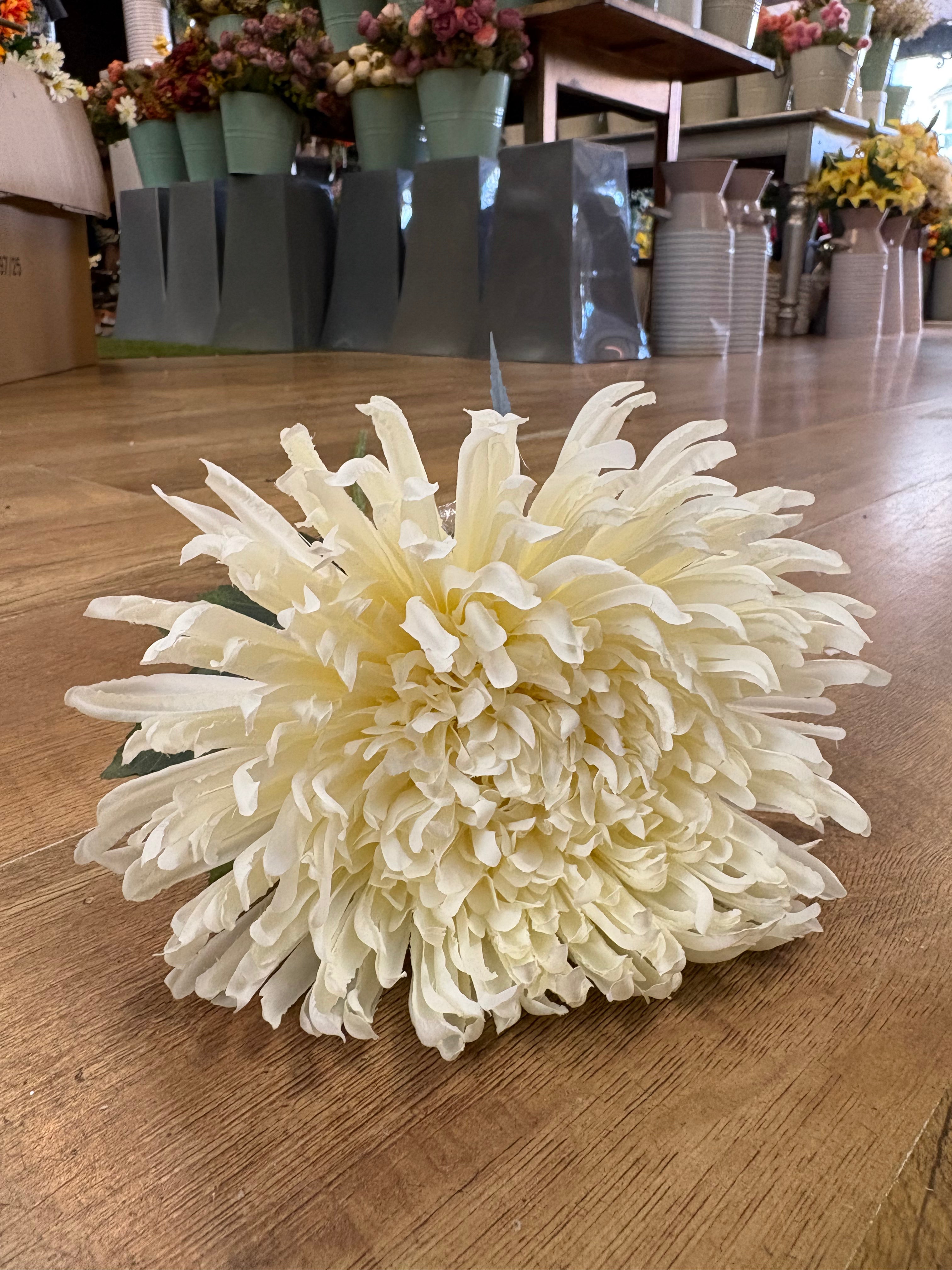 Long stem cream Fuji mum