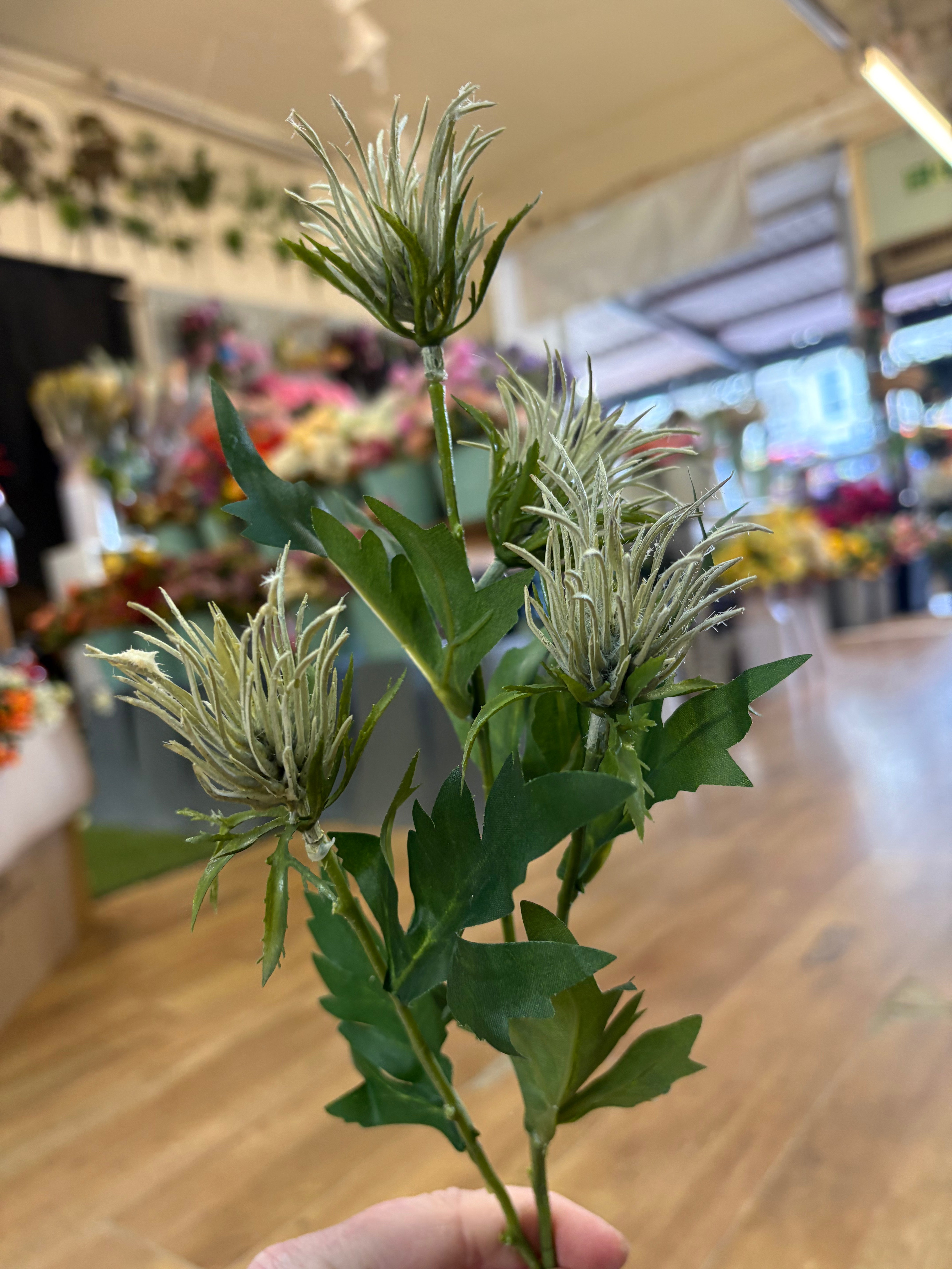 Long stem cream jagged thistle spray