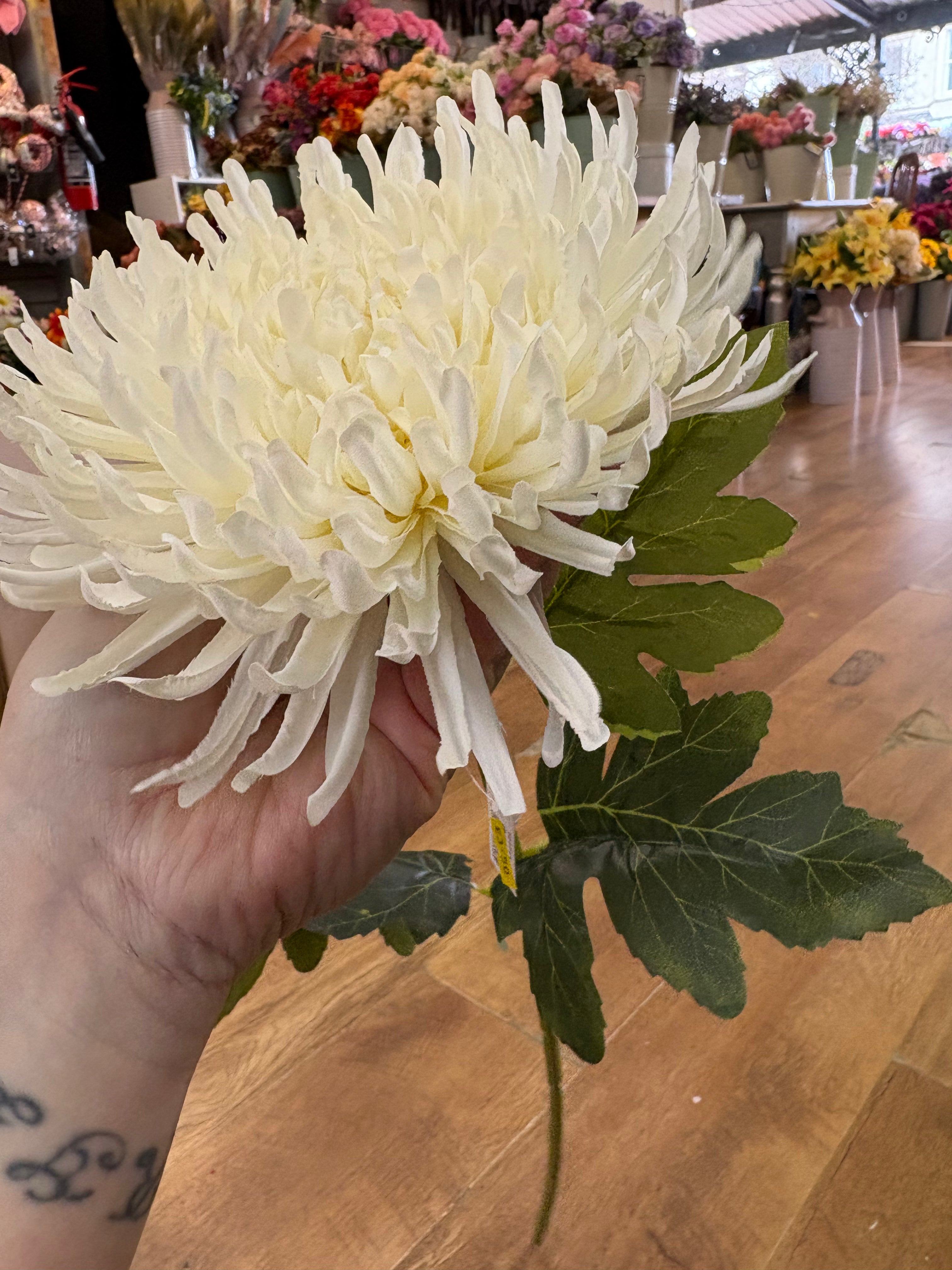 Long stem cream Fuji mum