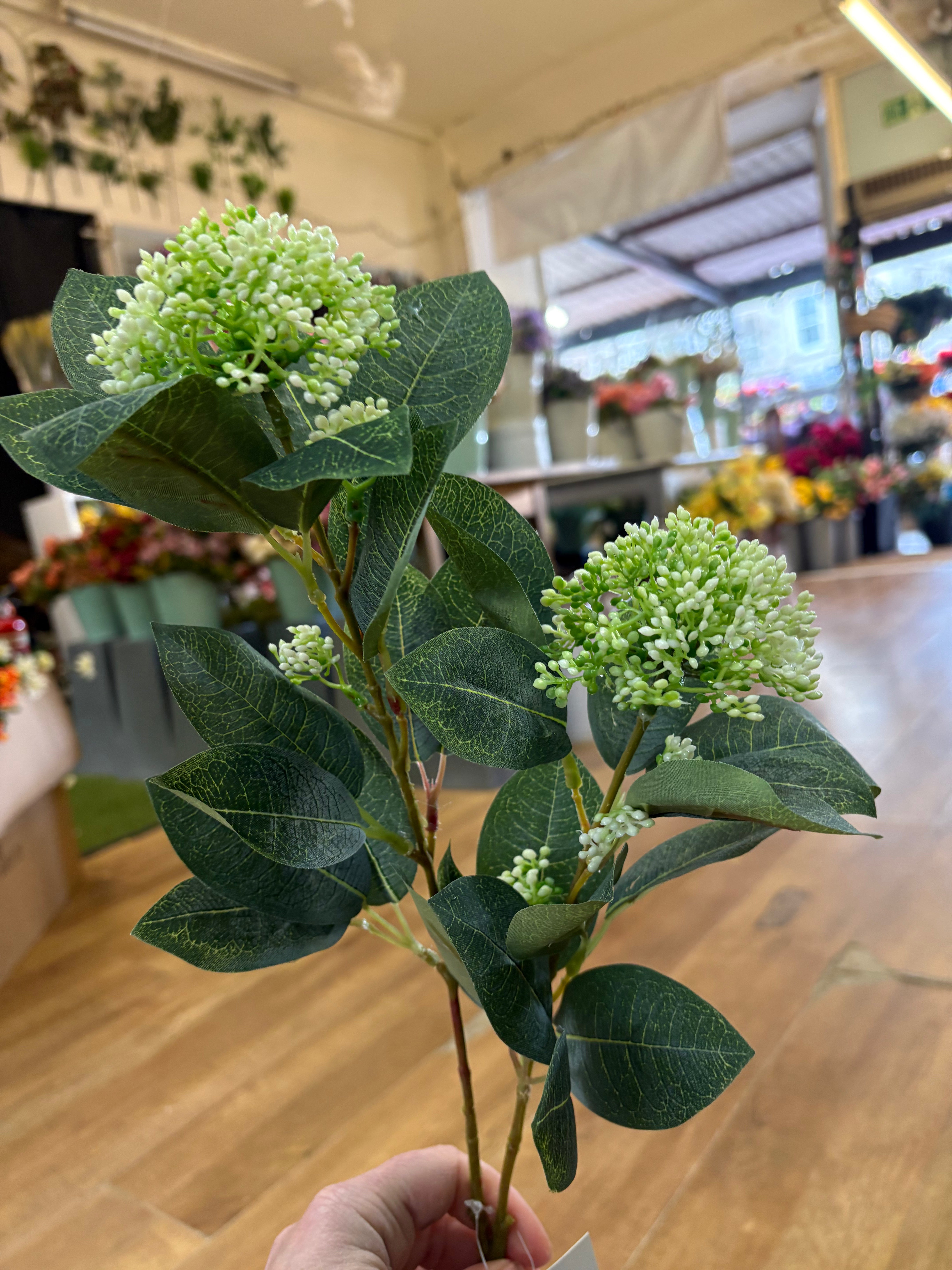 Long stem white bushy viburnium spray