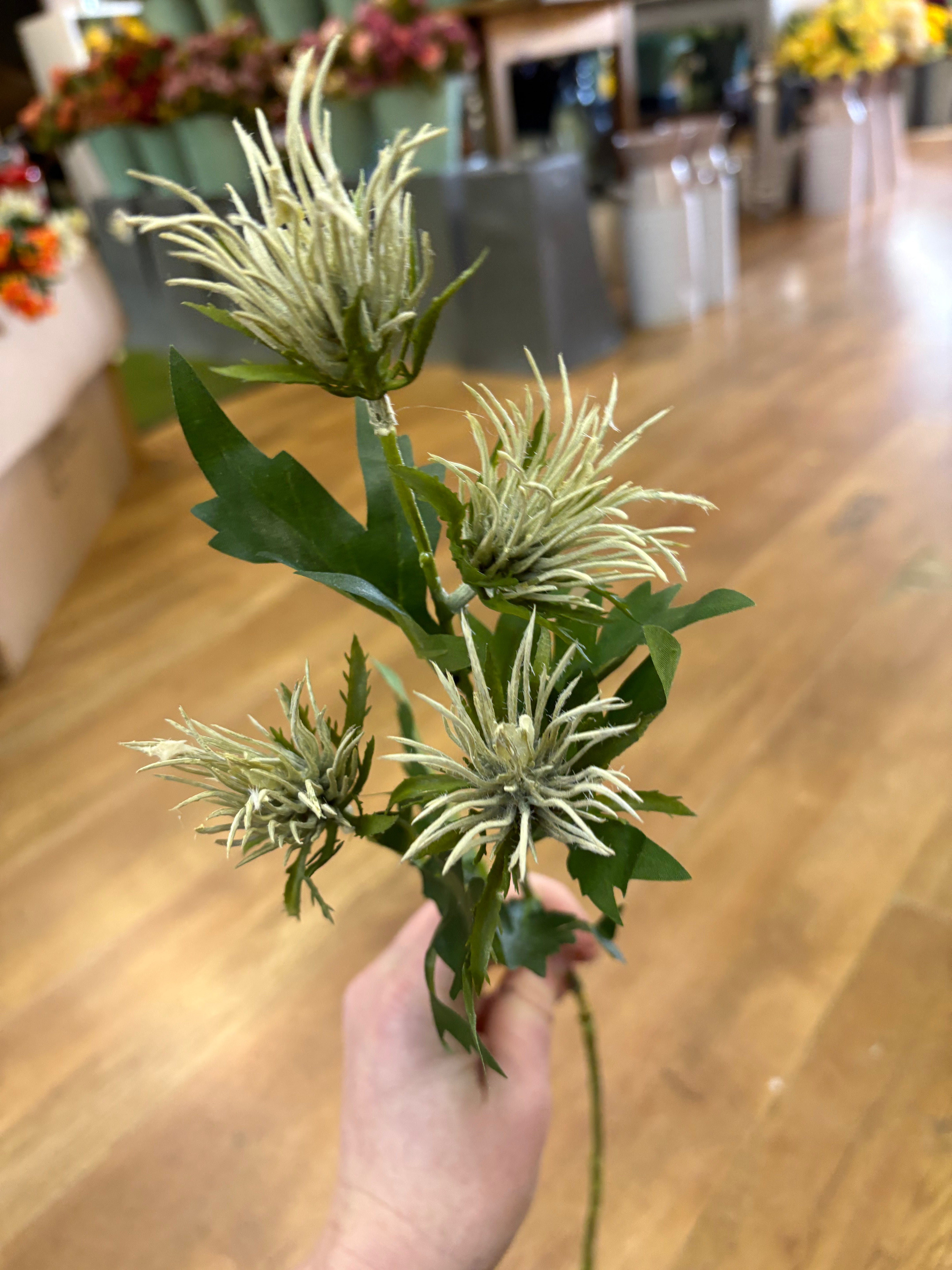 Long stem cream jagged thistle spray