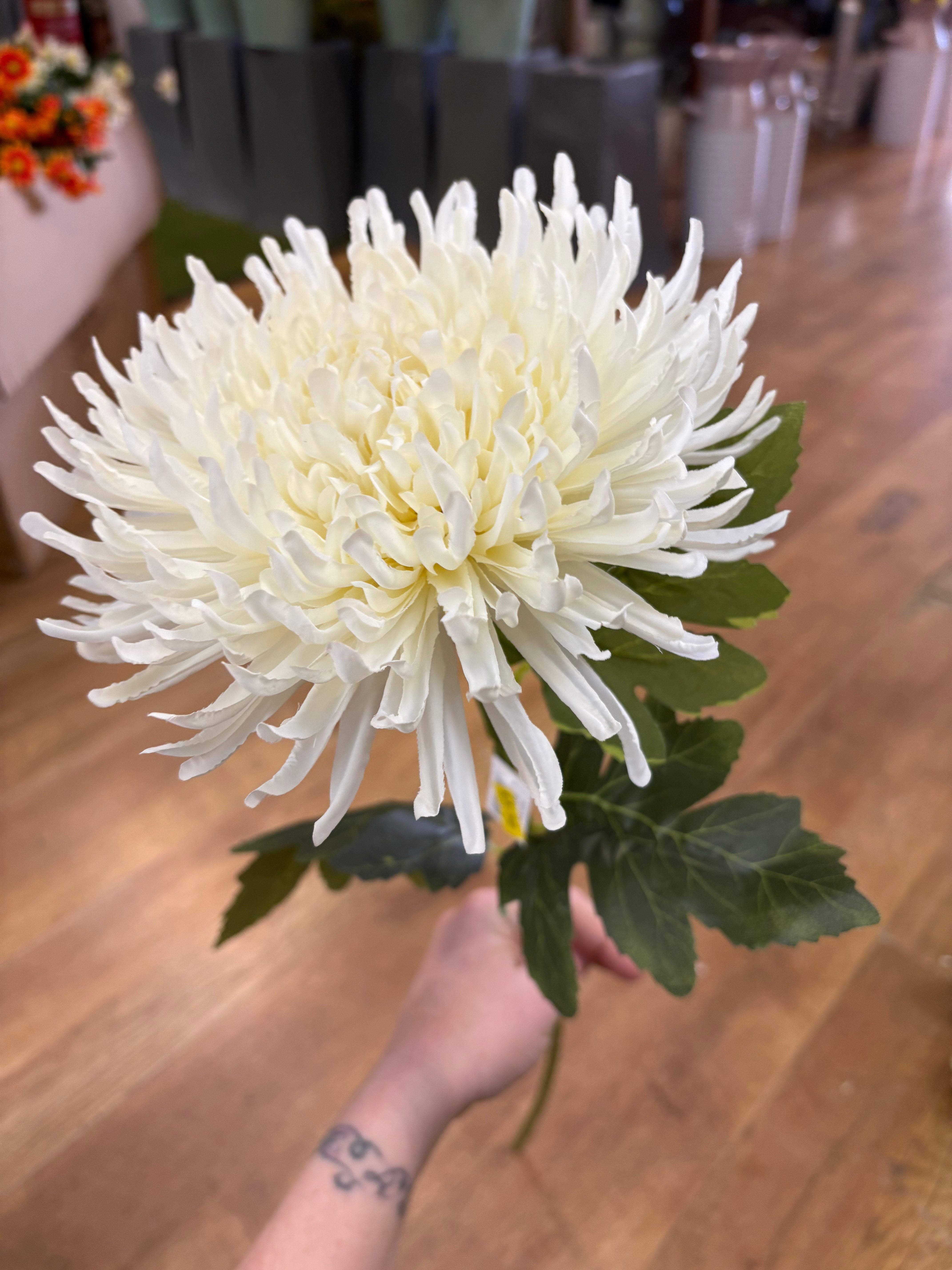 Long stem cream Fuji mum