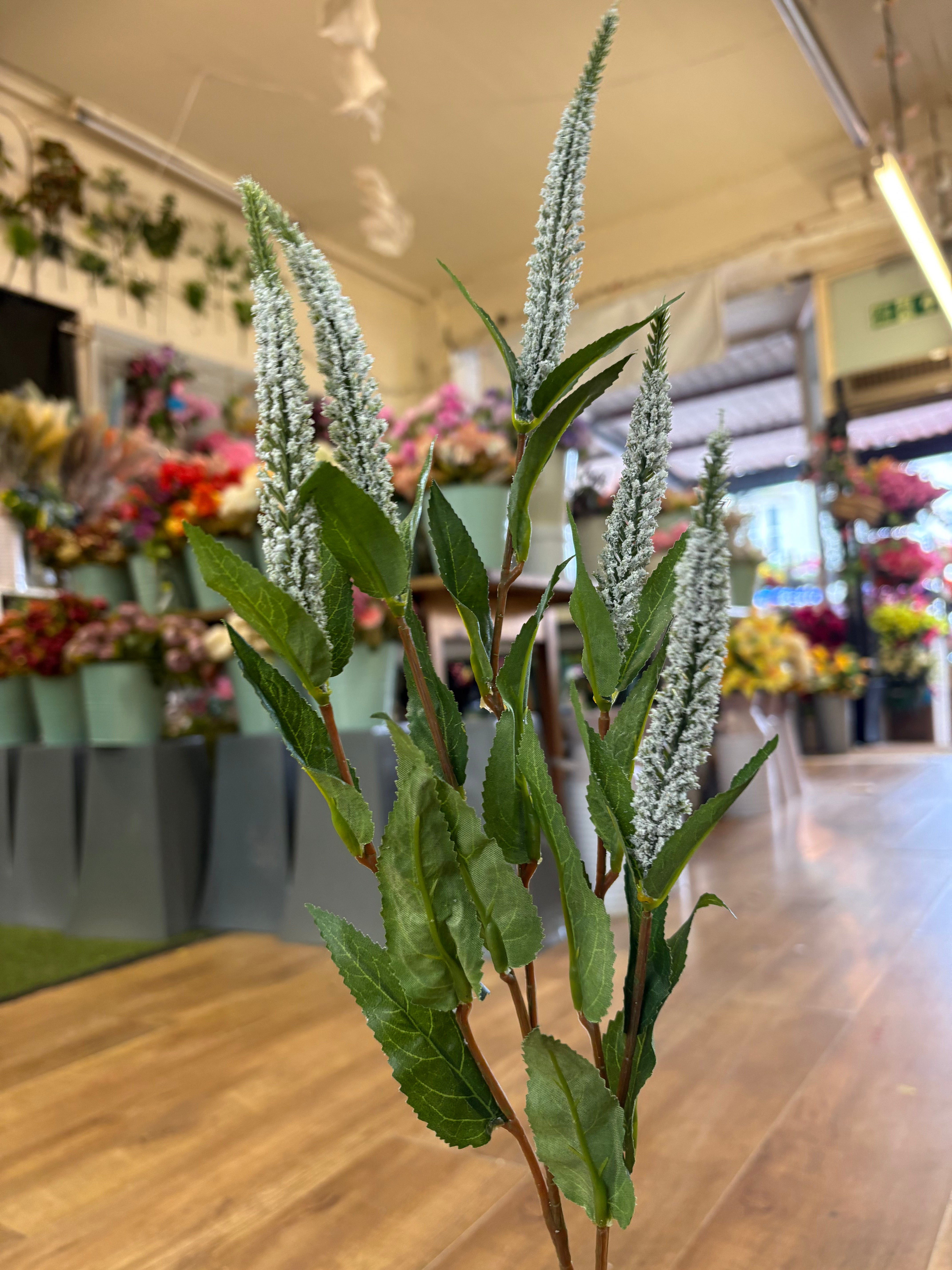 Long stem white Veronica spray