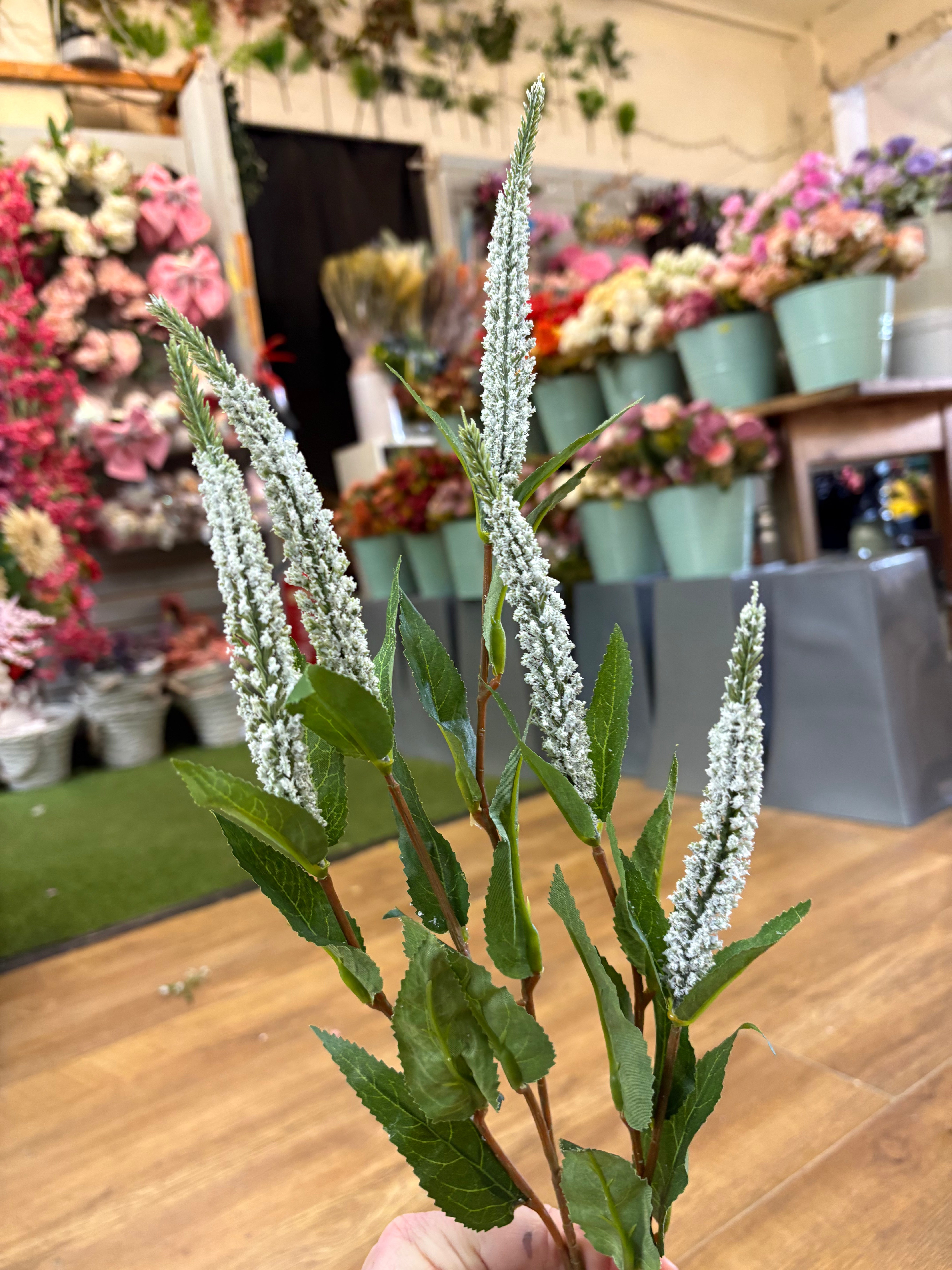 Long stem white Veronica spray