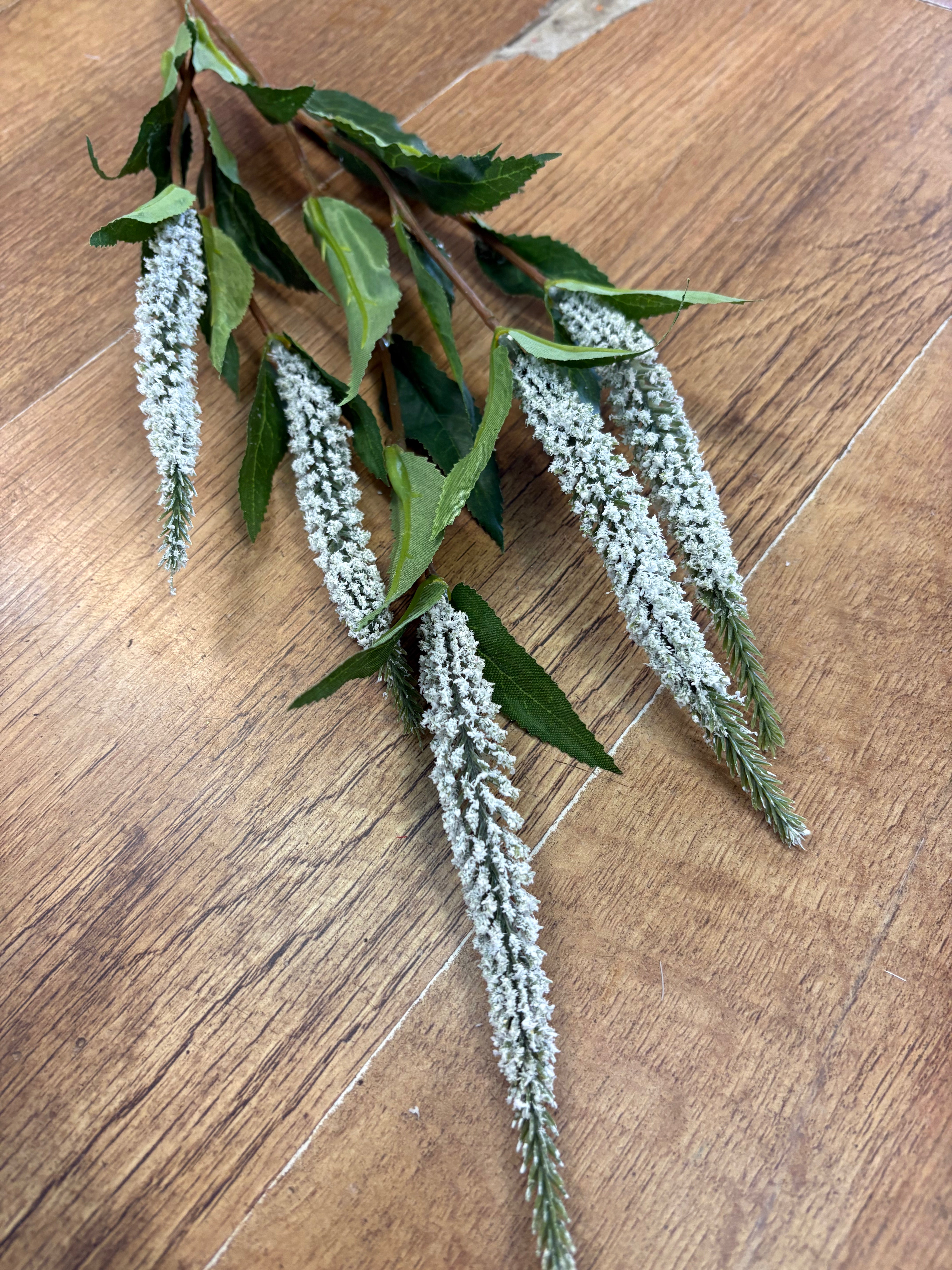 Long stem white Veronica spray