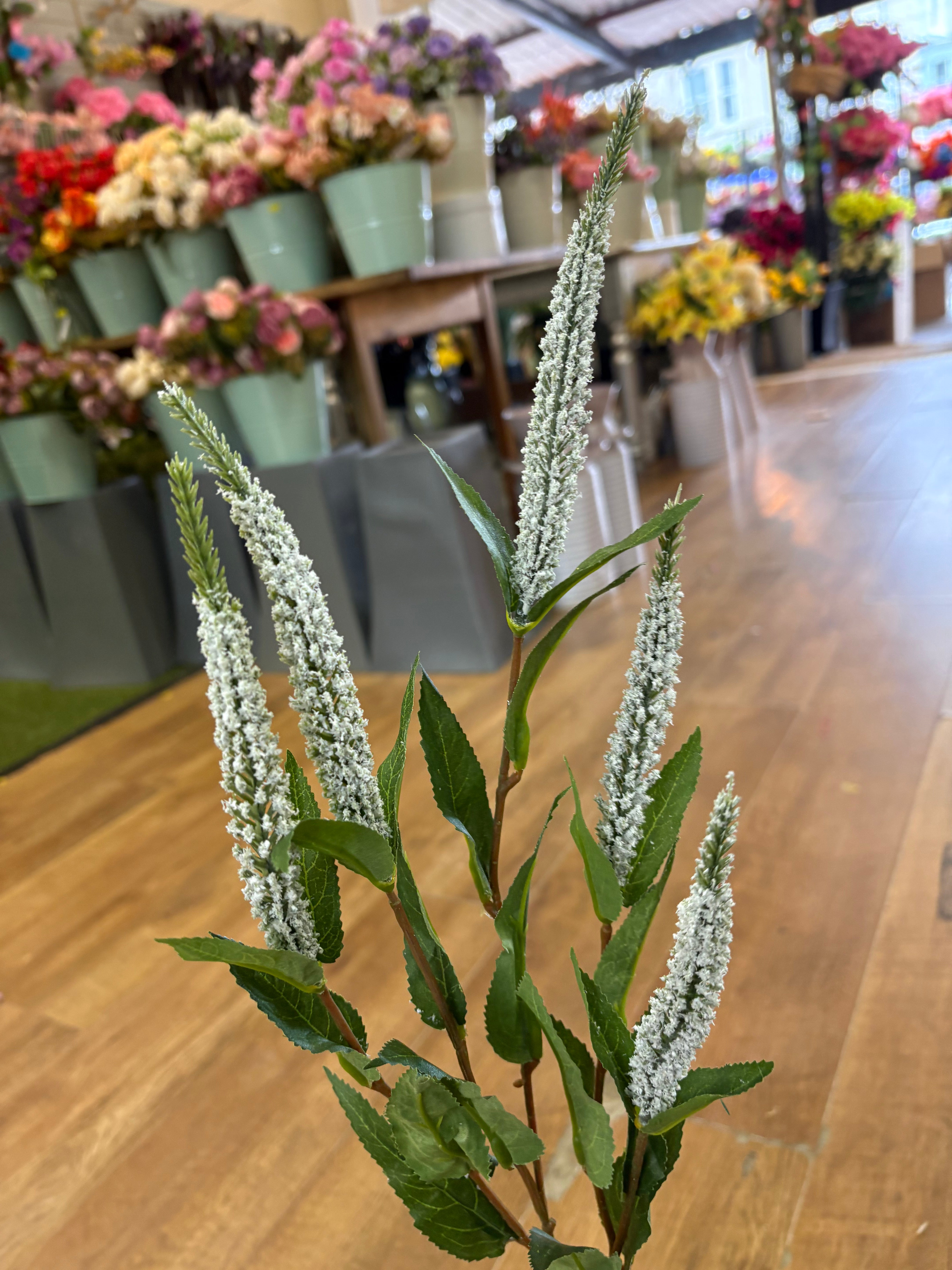 Long stem white Veronica spray