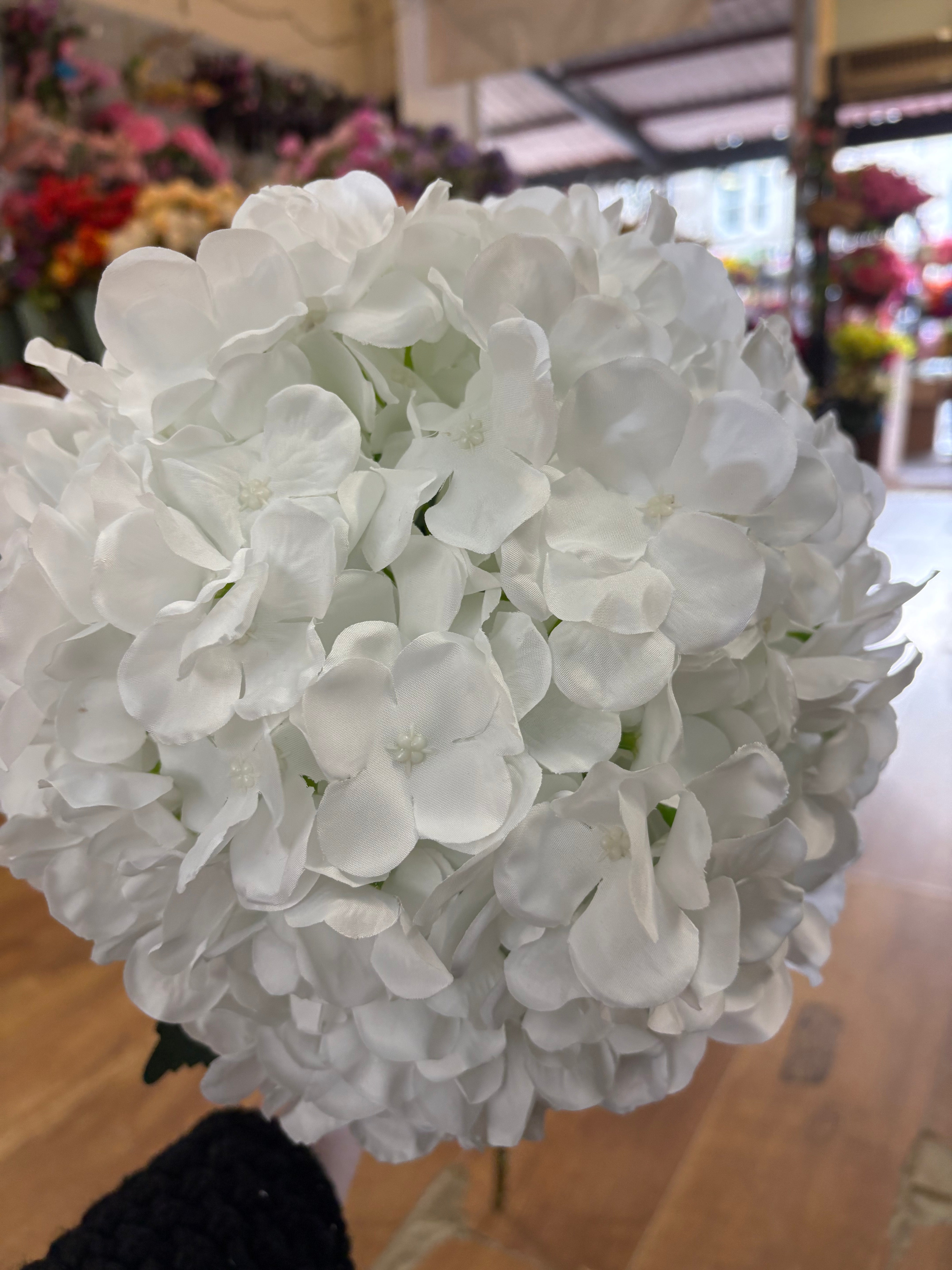 Giant head white premium hydrangea